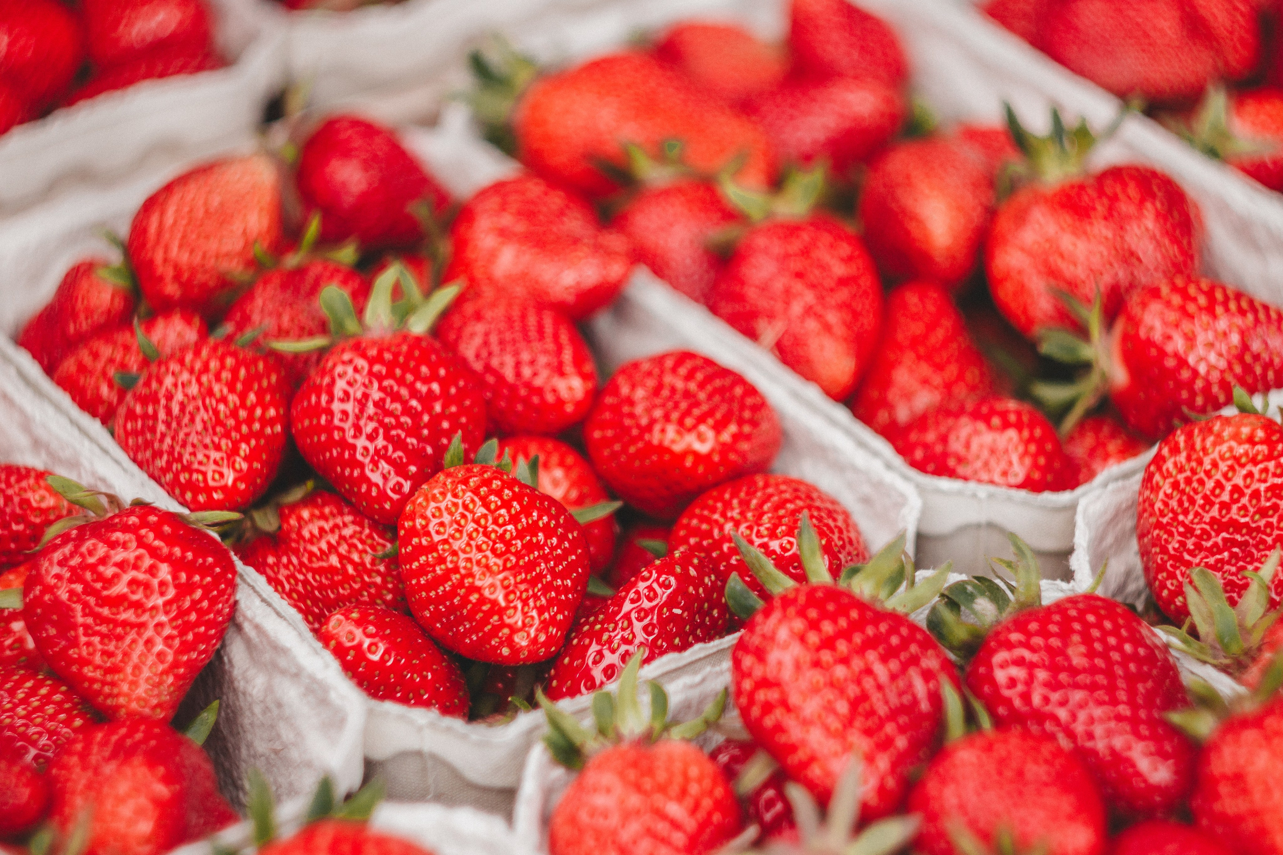 Oberkircher Erdbeerfest. Maria Chistyakovа — Fotografin in Karlsruhe, Baden-Baden und Umgebung
