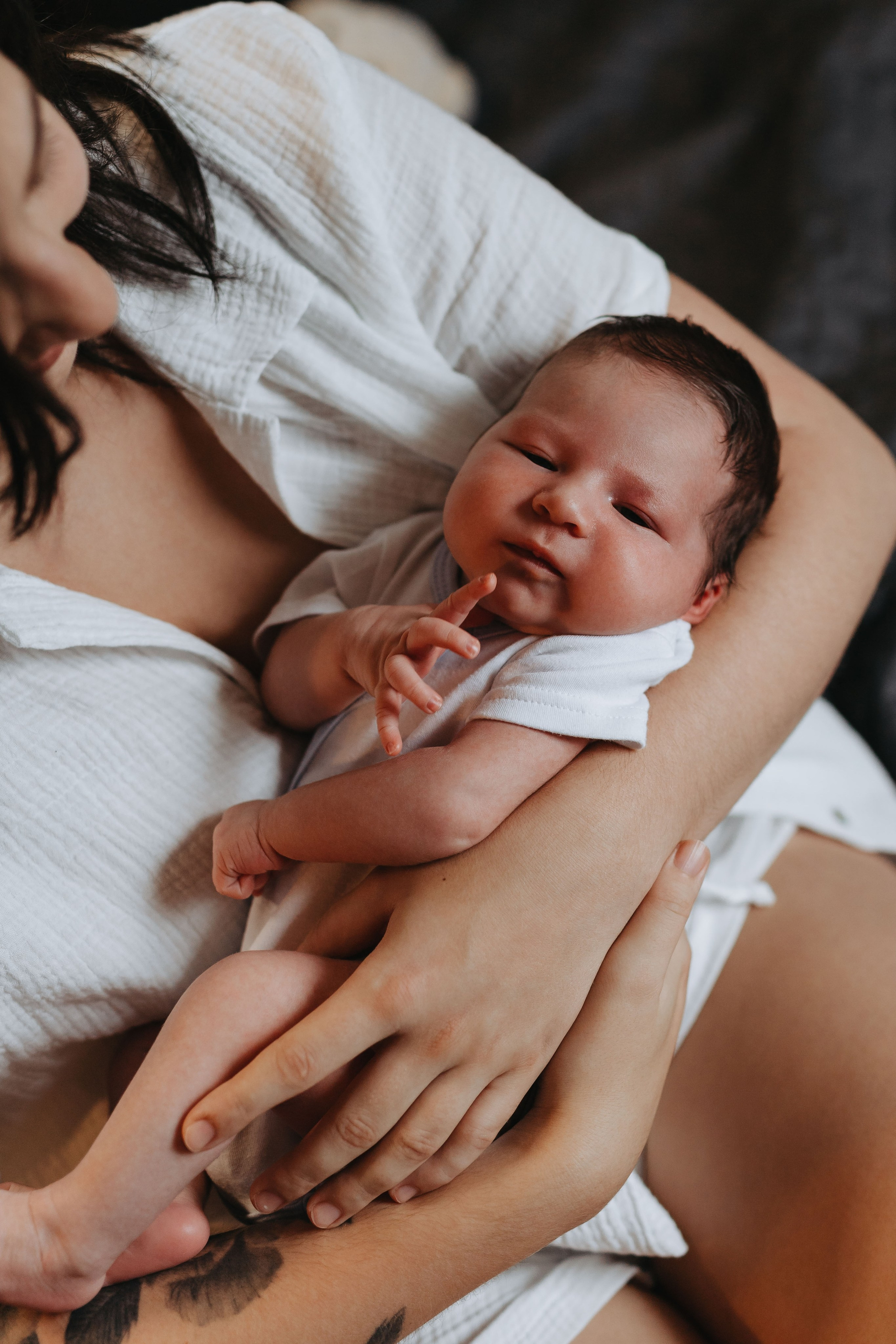 Pierwsza sesja Franka