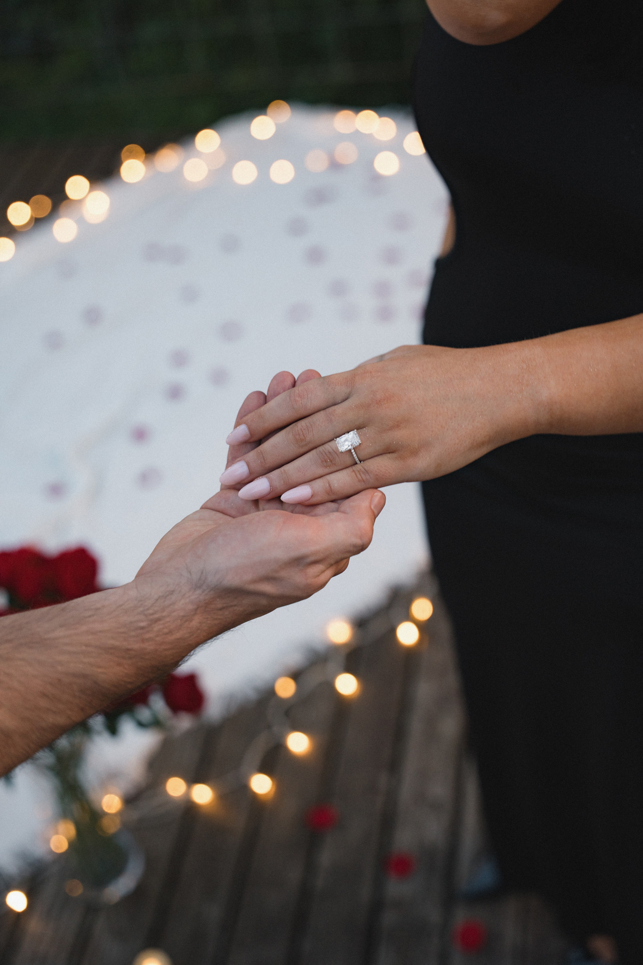 Blaine and Anya proposal. Photographer in Washington Sophia D