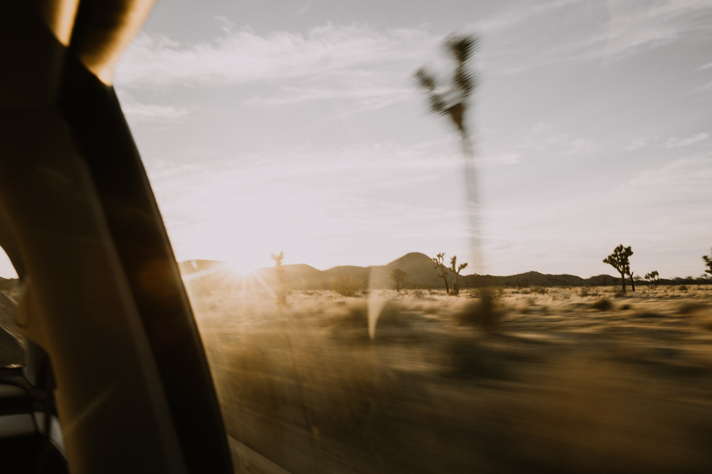 Family Photoshoot at Joshua Tree National Park | Taya Frank. Southern California Family and Couple Photographer