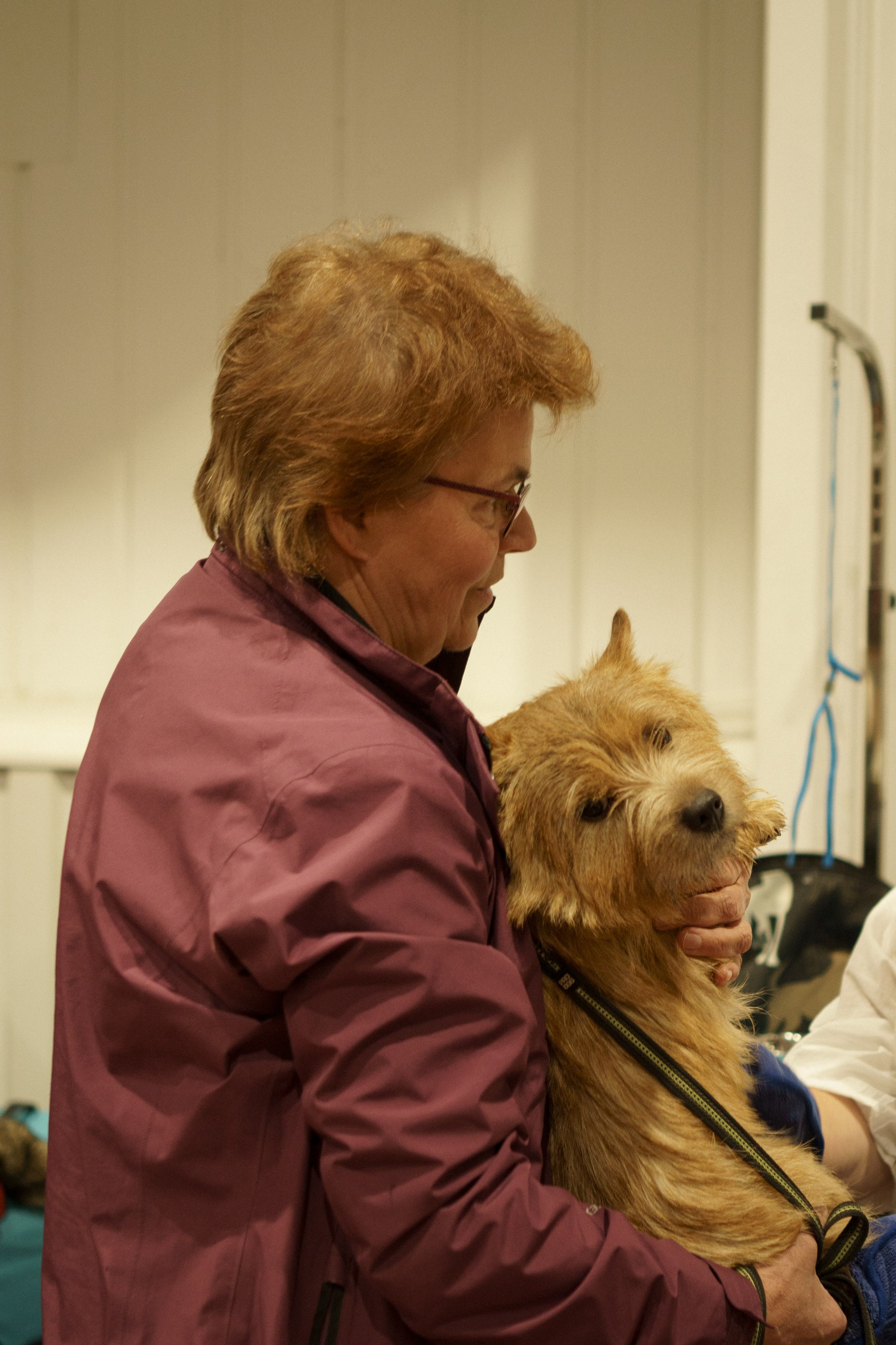 Tartu International Dog Show. Kat Laisaar — Pet photographer in Tallinn