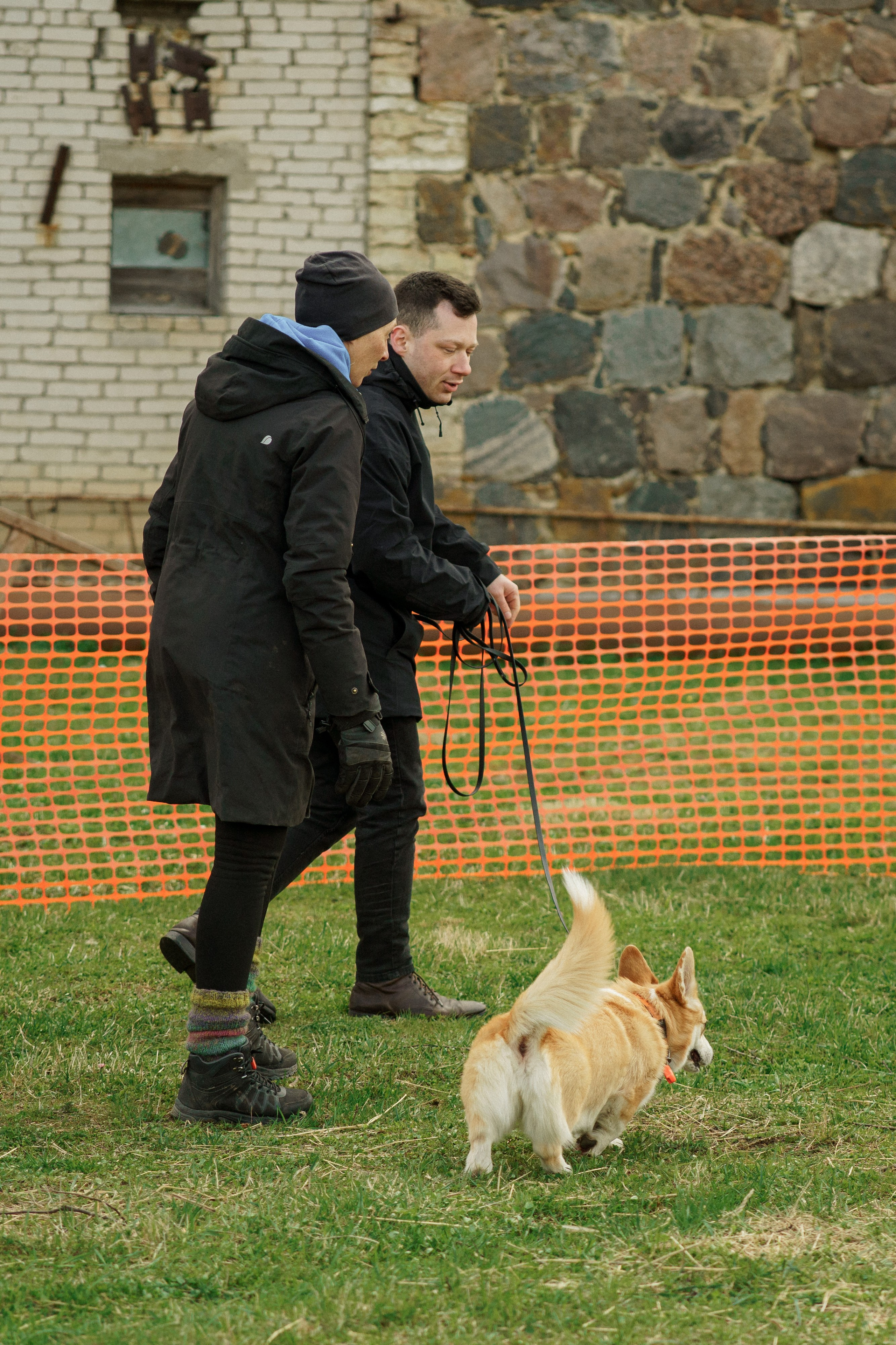 Herding Days, 26 apr. 2025. Kat Laisaar — Pet photographer in Tallinn