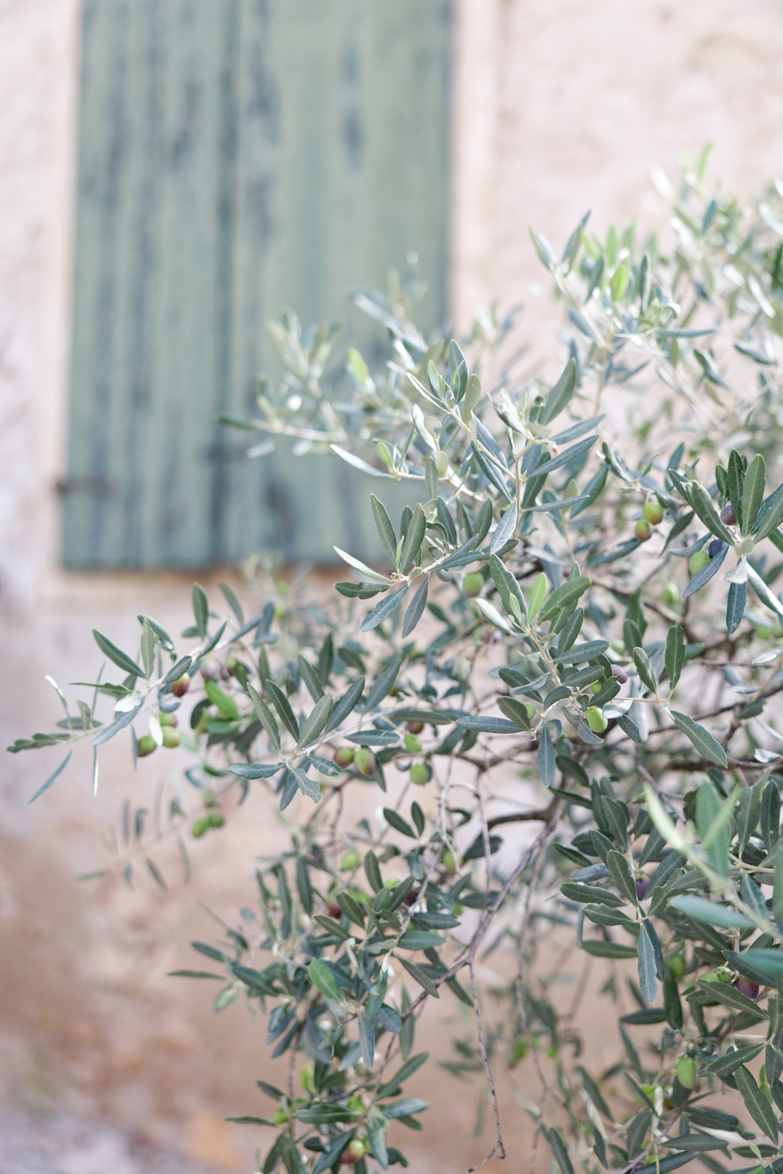 Wedding at Villa Arvedi, Verona, Italy
