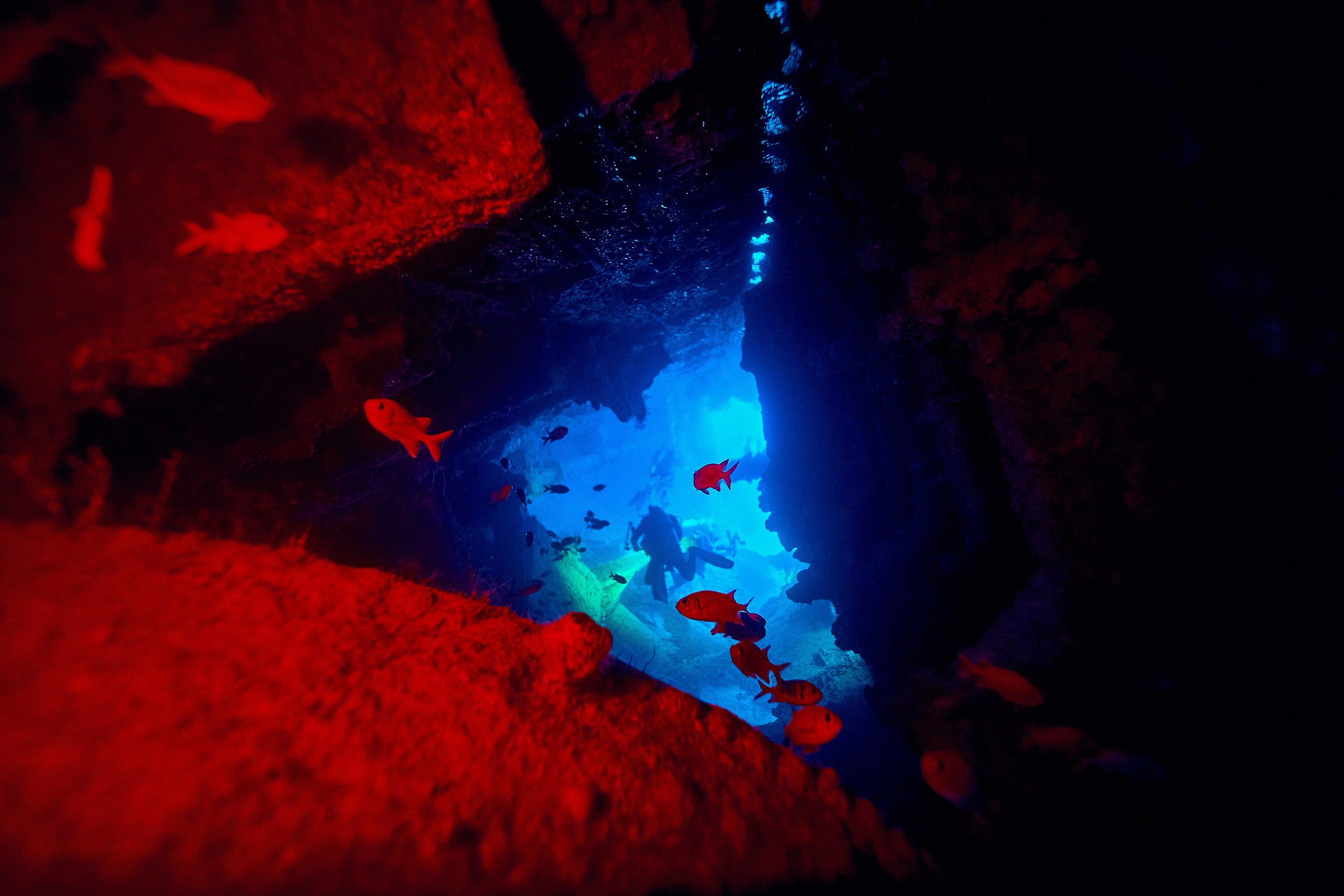 Podwodny fotograf - Andriej Szypiłow - zdjęcia wraków. Andriej Szypilow - Fotografia & Wideografia