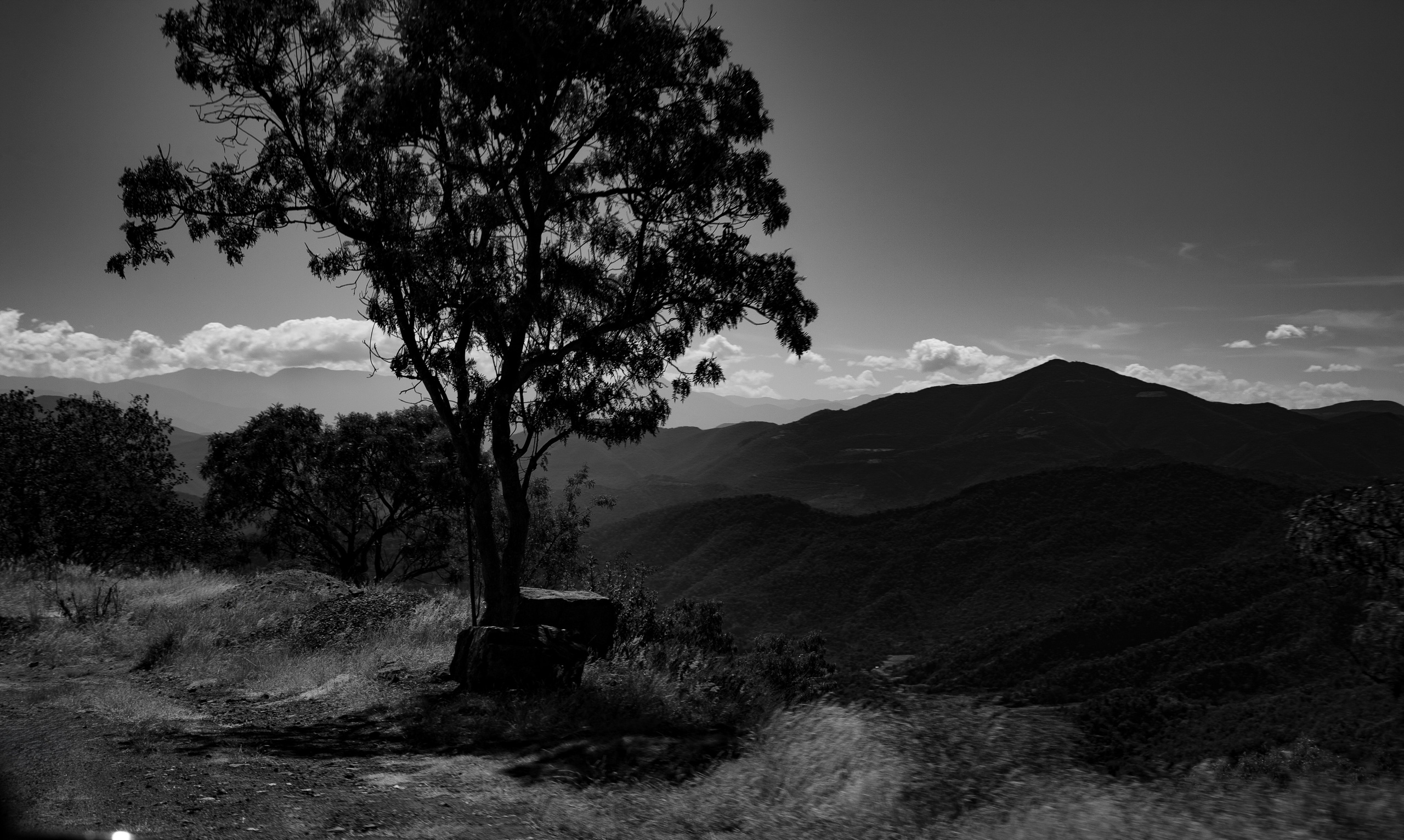 EXHIBITION. Lero Photographer and a set designer|individual custom portrait and advertising photography in Zutphen