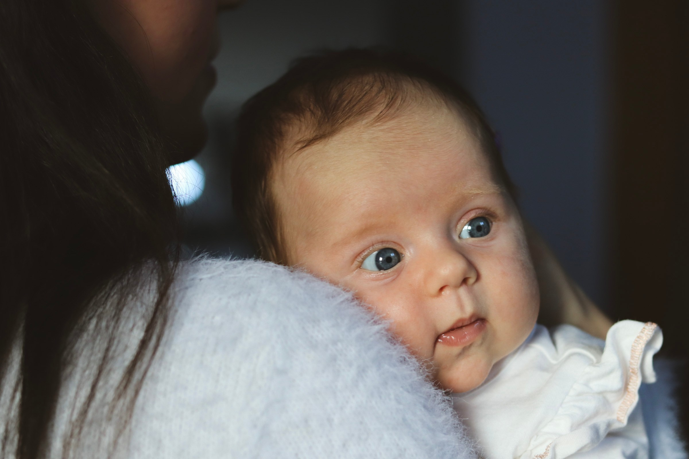 Without leaving home. Photographer Margarita Antonova in Naas, Co Kildare