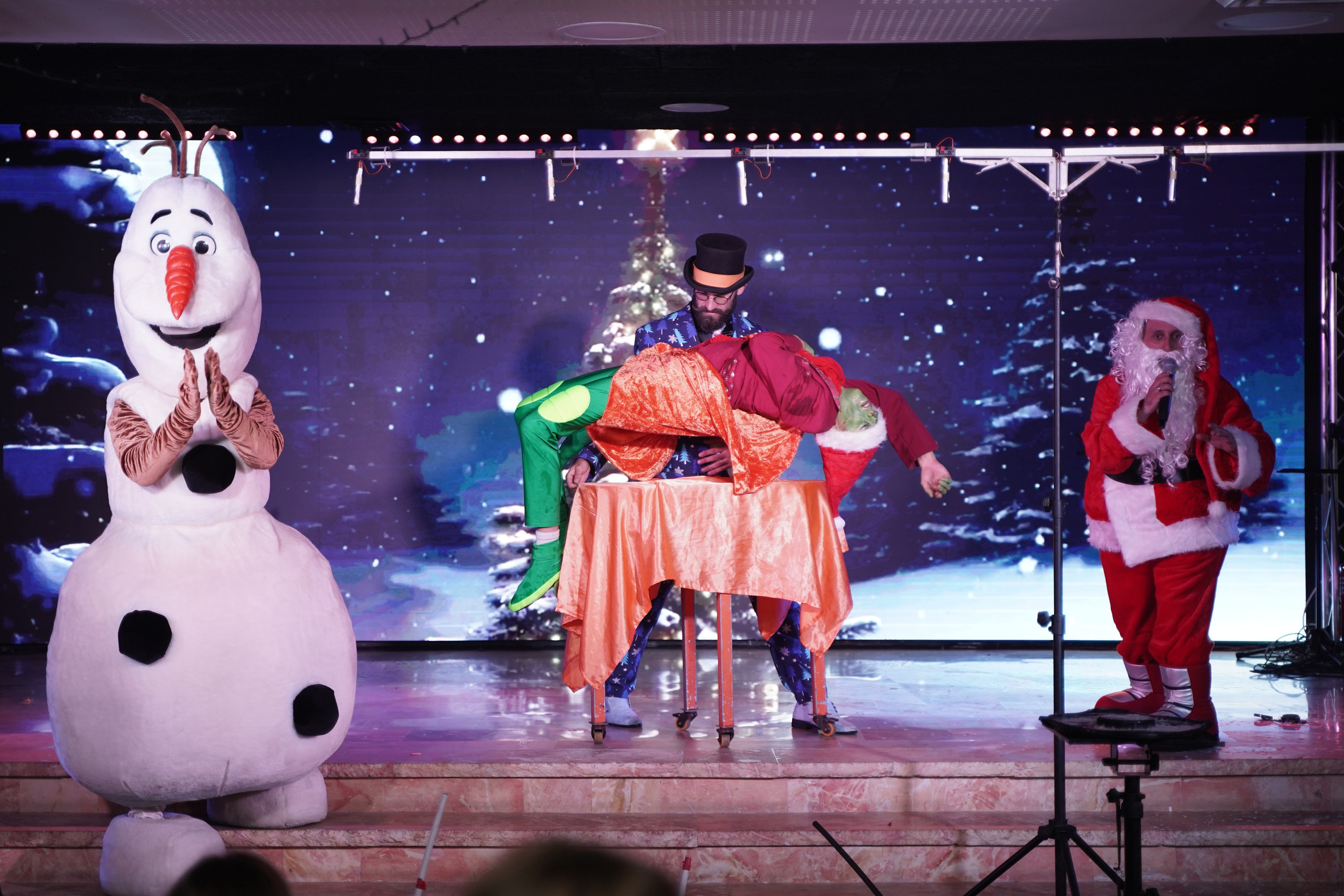 Новогодняя сказка. Фотограф. Визуал. Хайфа. Талья Цветкова