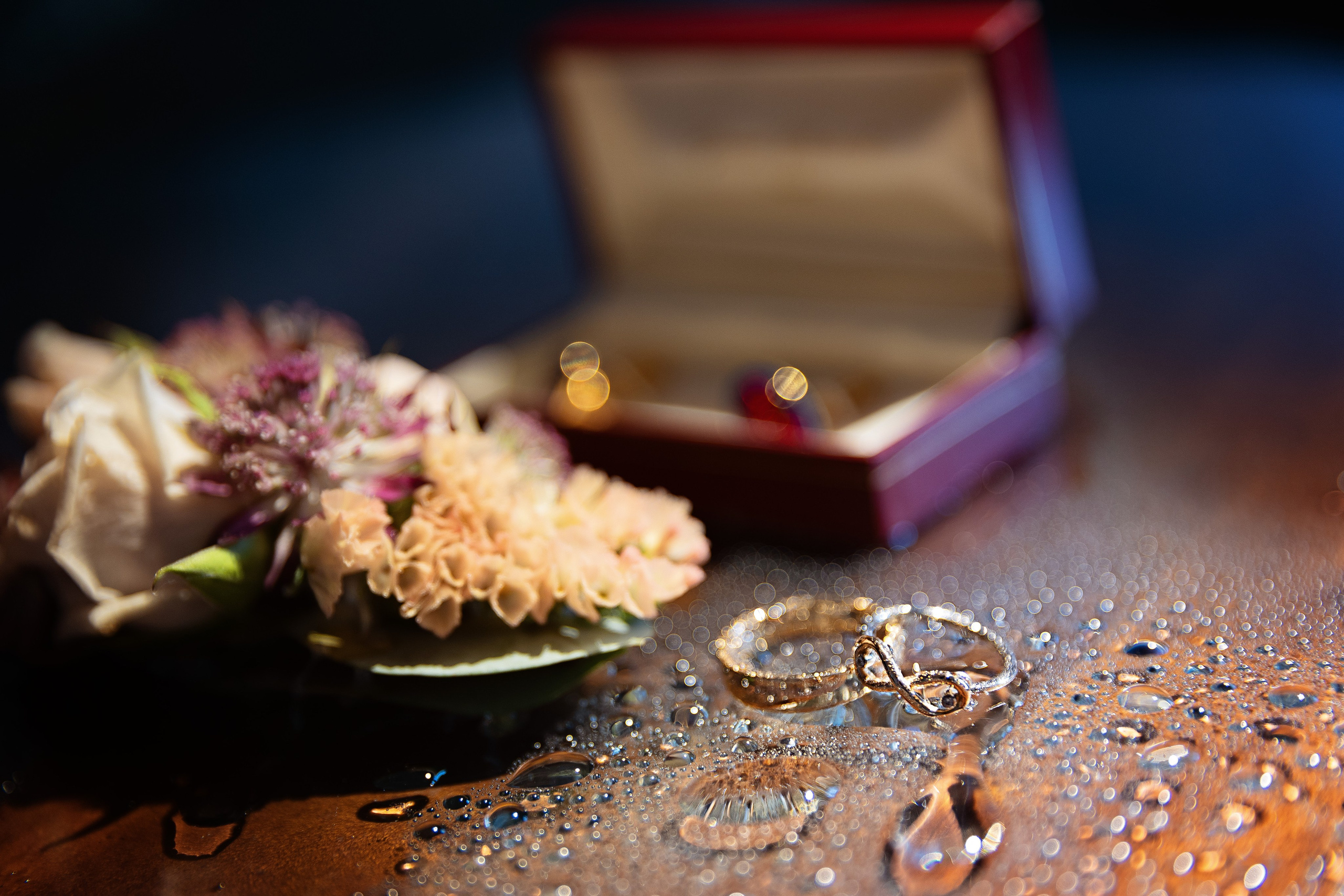 Hochzeit. Oxana Gruber Fotograf