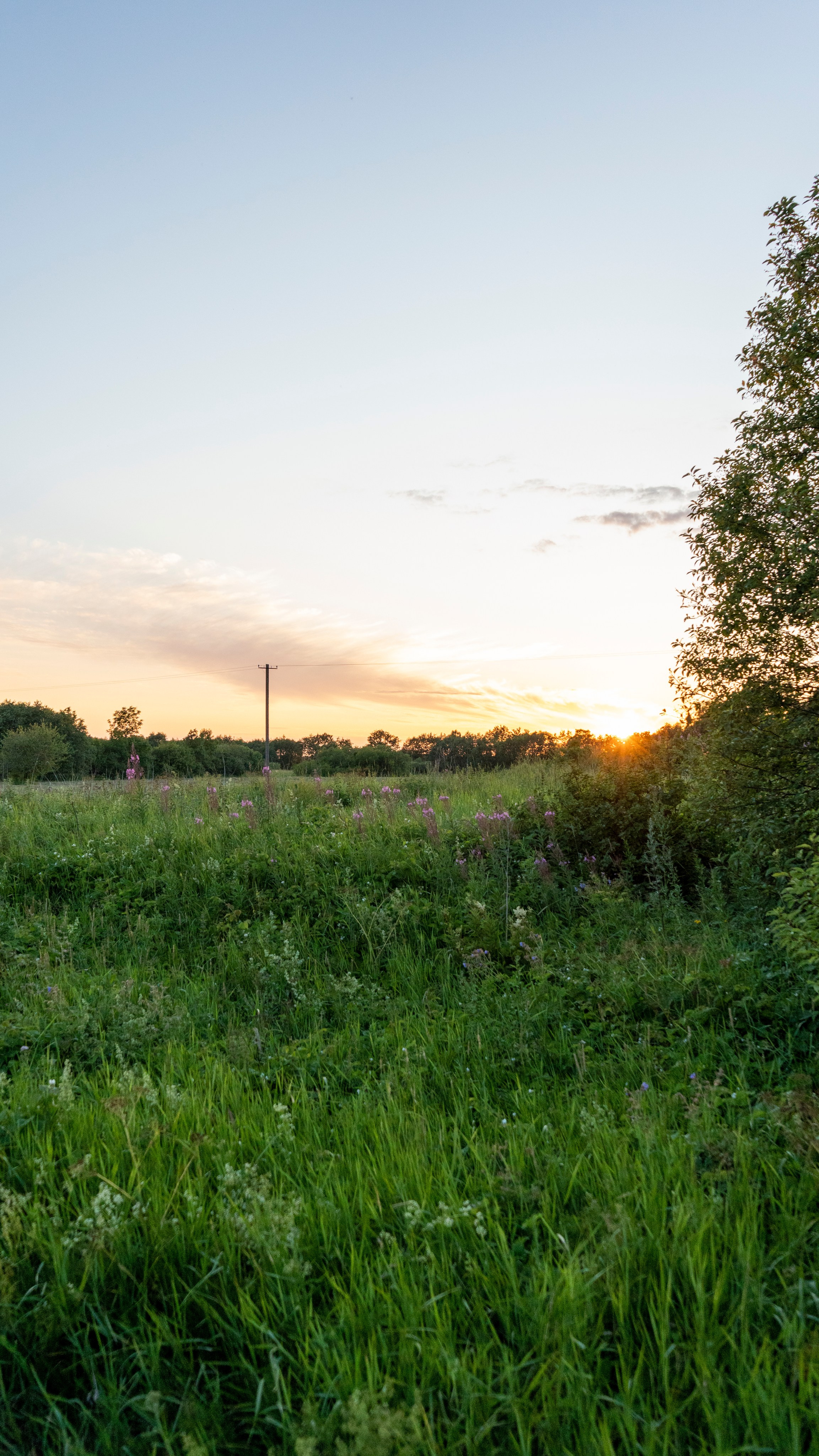 Whispers of Estonia. Photography | Videography | Marketing