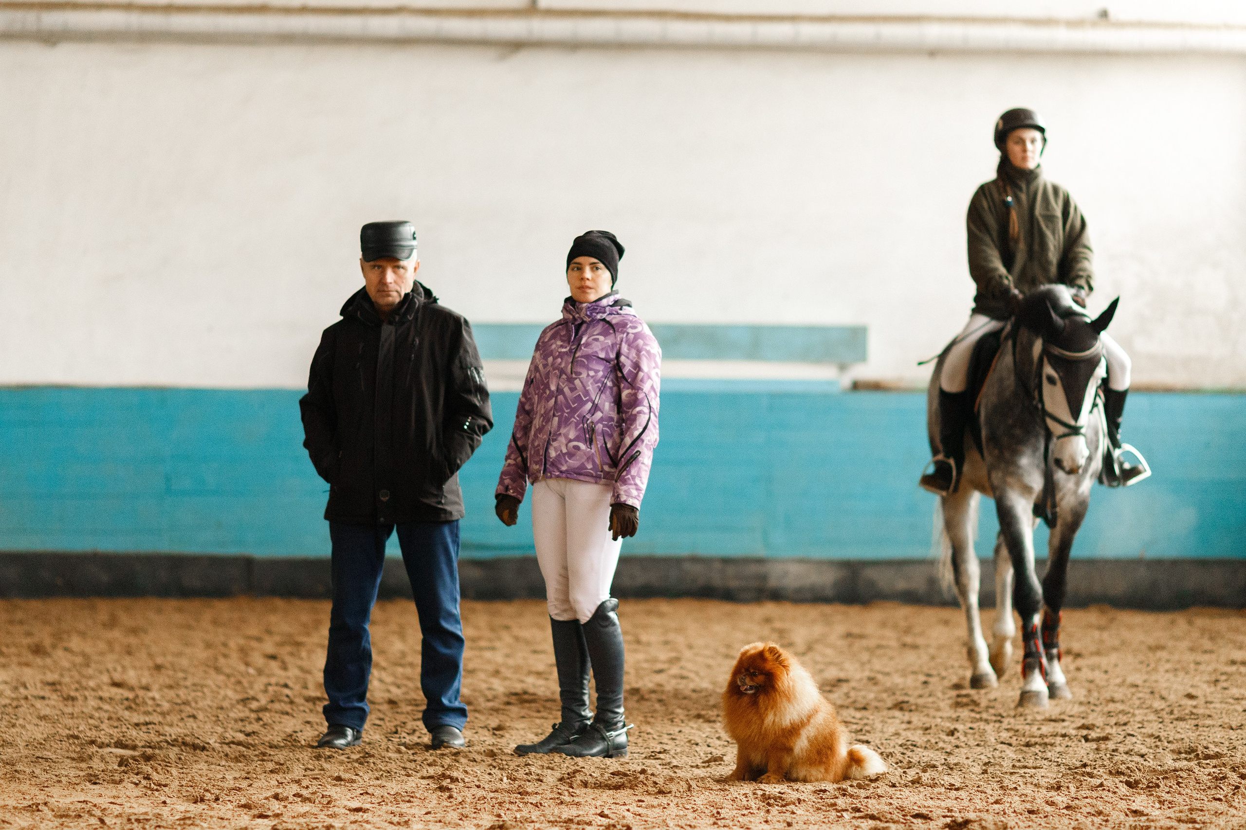 Winter show jumping in «Progress». Kaja | fotograf we Wrocławiu | ludzie i psy