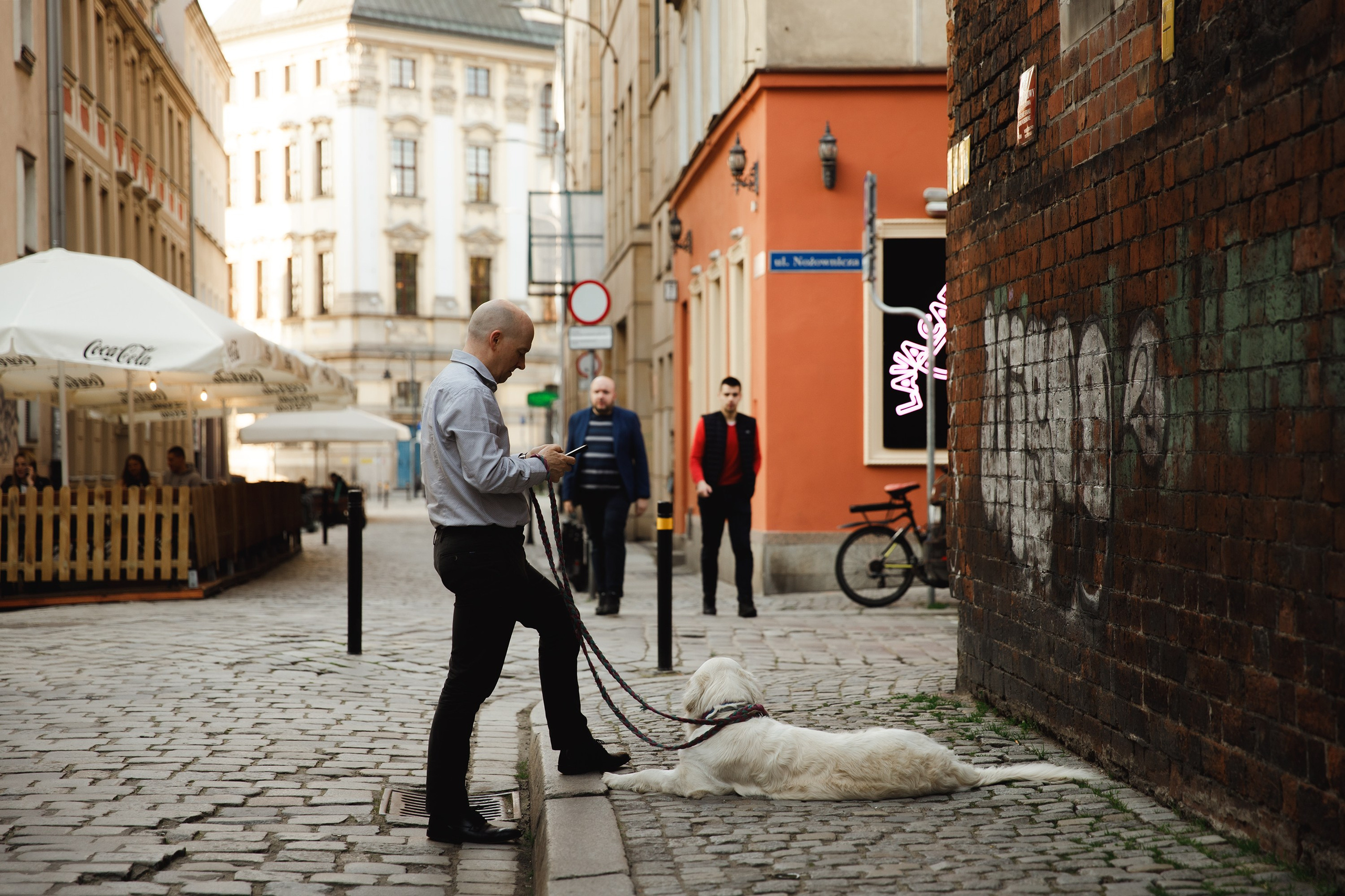 Wroclaw | the best ones. Kaja | fotograf psów we Wrocławiu