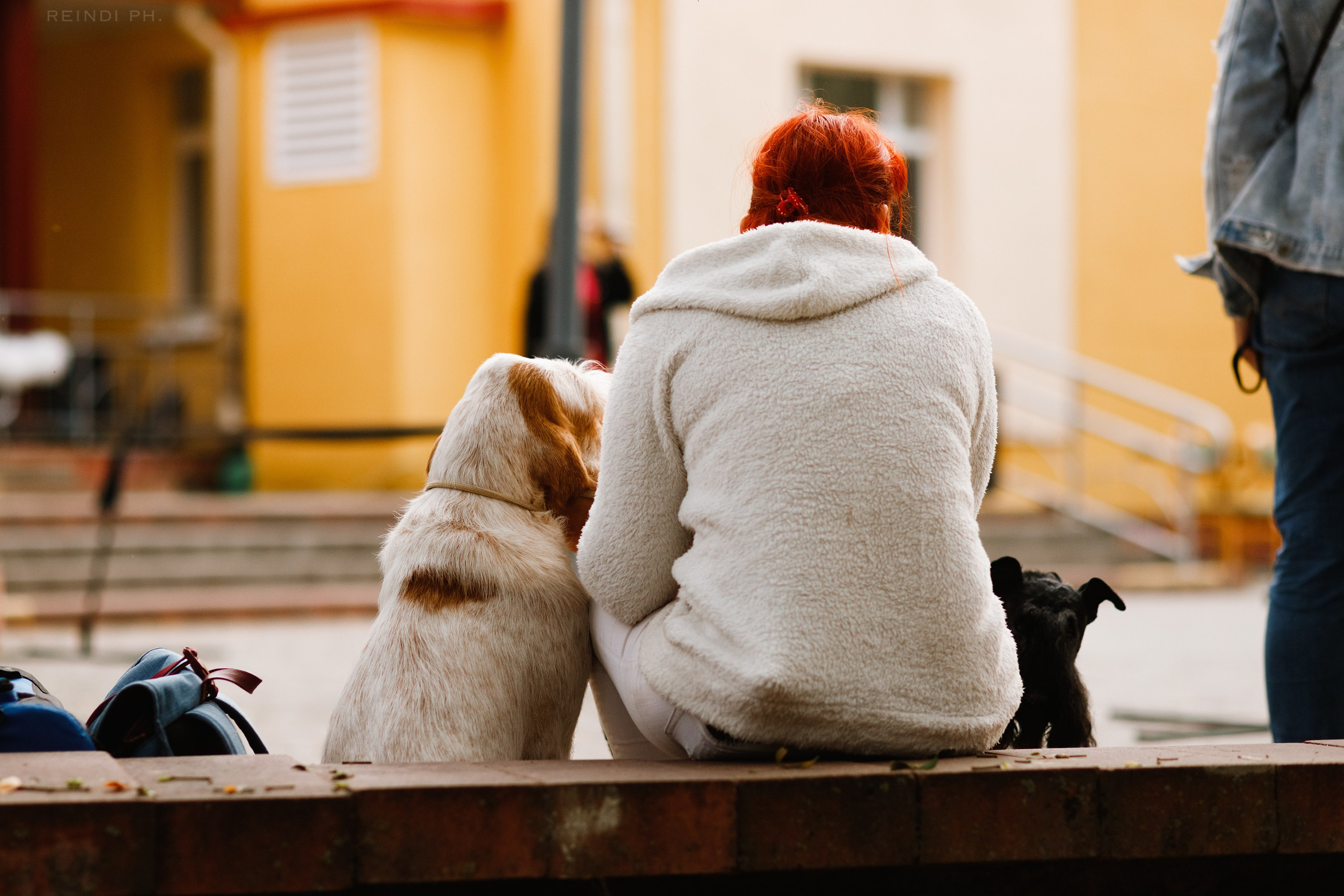 «Argus» dog show in Brest. Kaja | fotograf we Wrocławiu | ludzie i psy