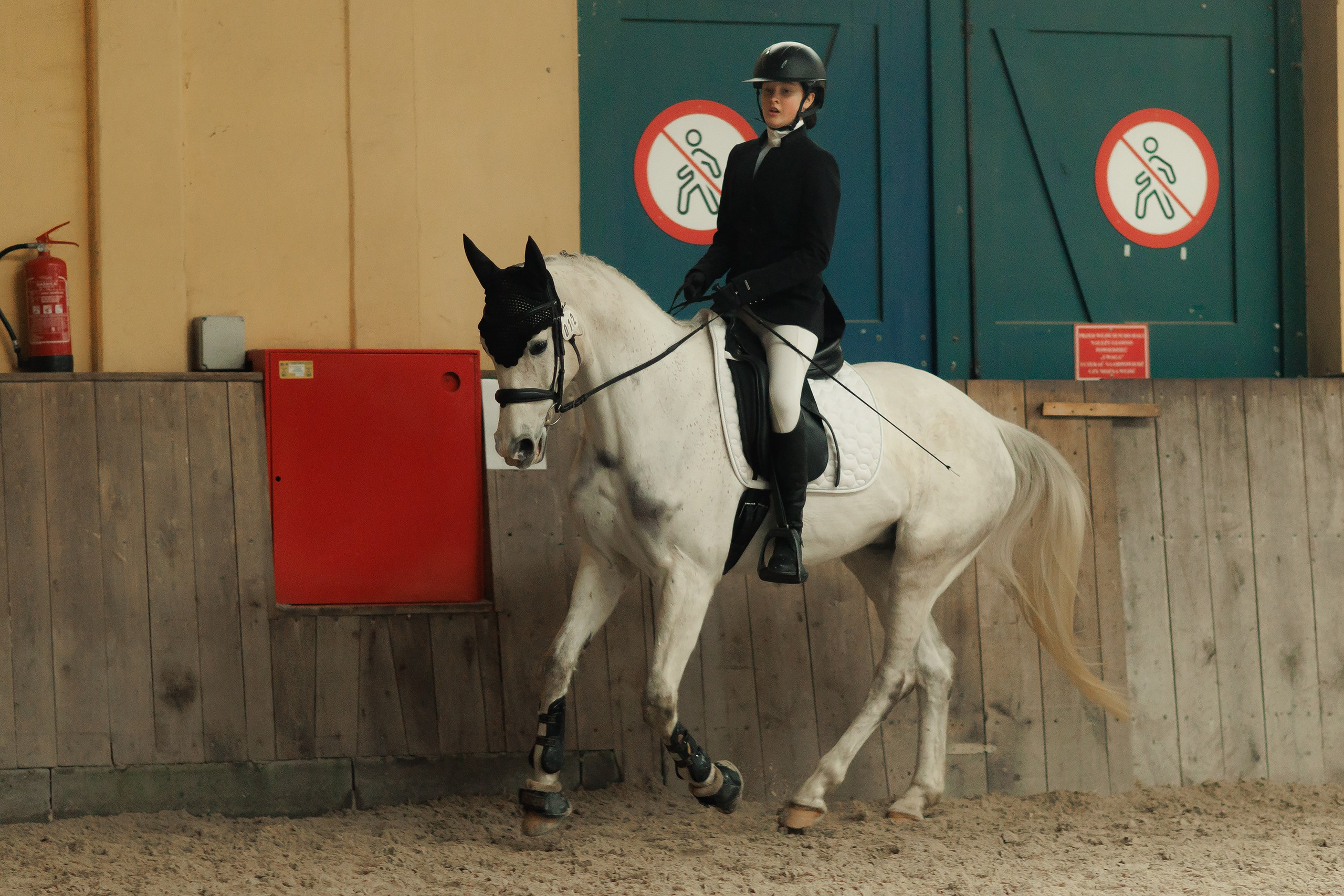 Partynice dressage \ feb'25. Kaja | fotograf we Wrocławiu | ludzie i psy