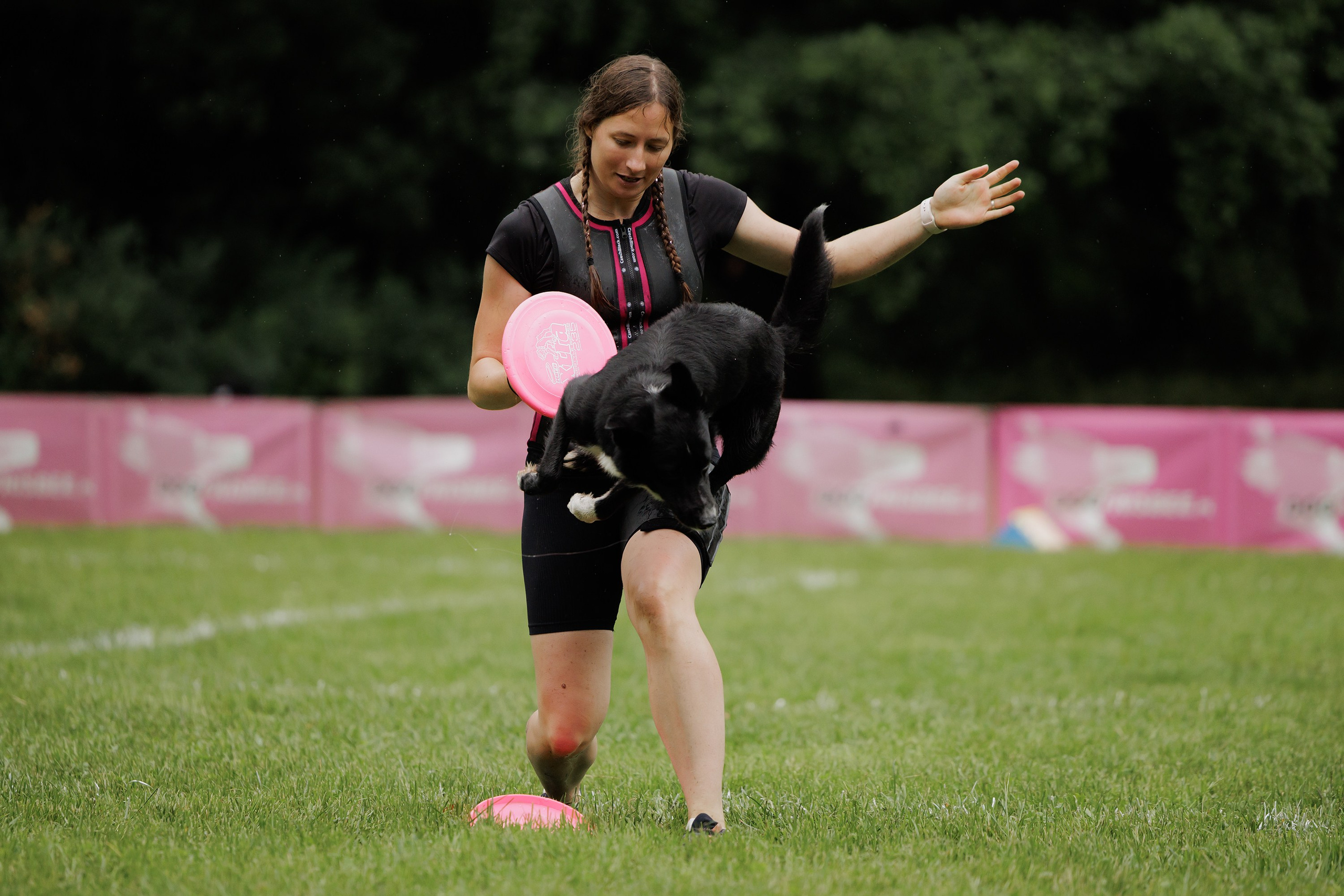 Latające psy, Wrocław'25. Kaja | fotograf psów we Wrocławiu