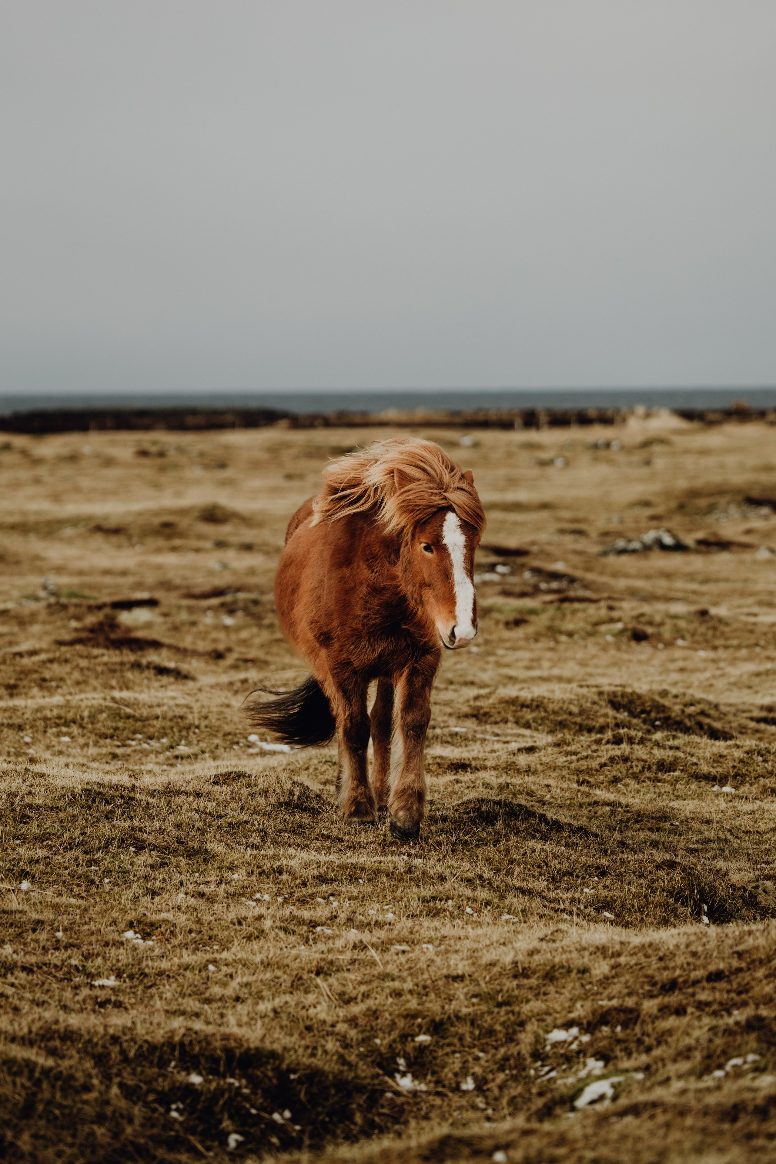 Forecast: Unpredictable. Heart In Lens Photography from Reykjavík, Iceland