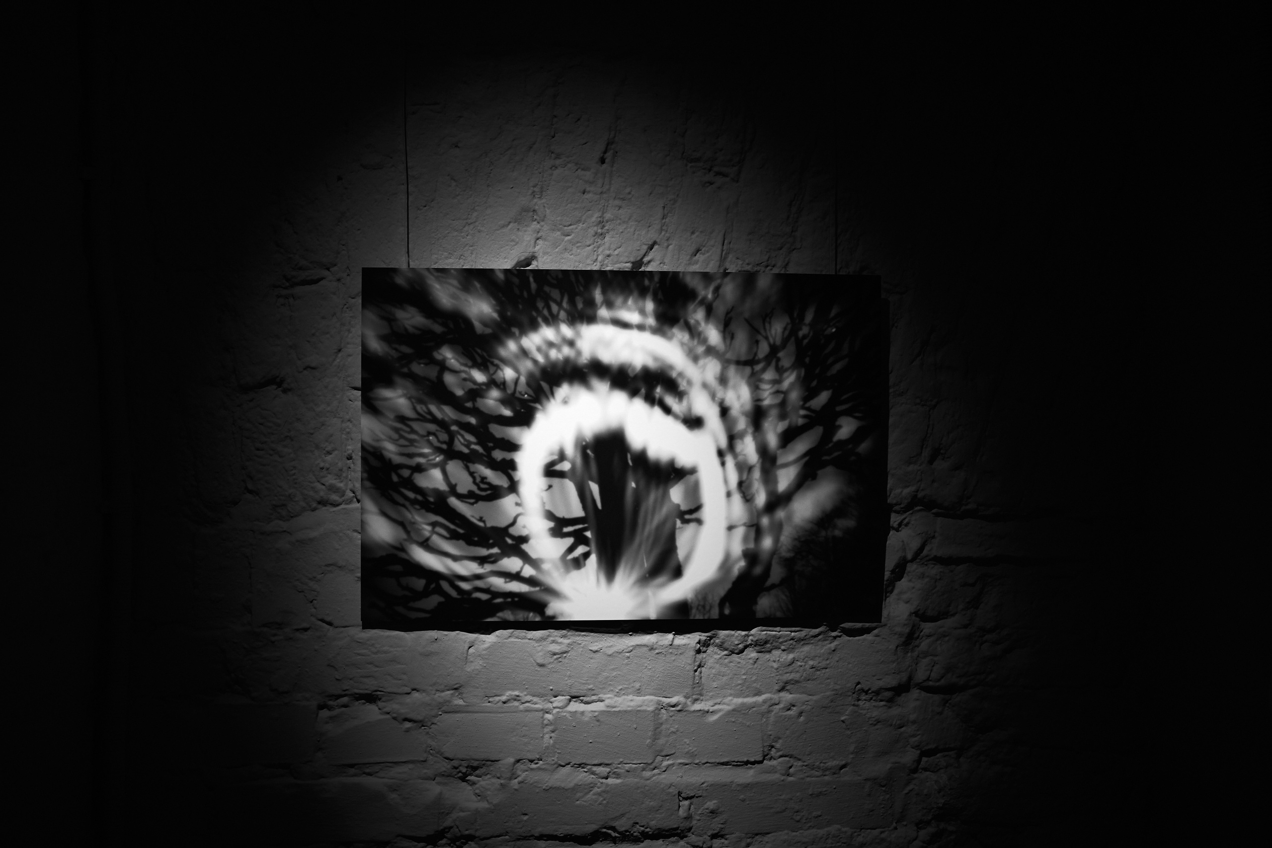 The Second Sun / Zerno Gallery. GLISH ART — Timofey Glinin & Anastasia Shubina