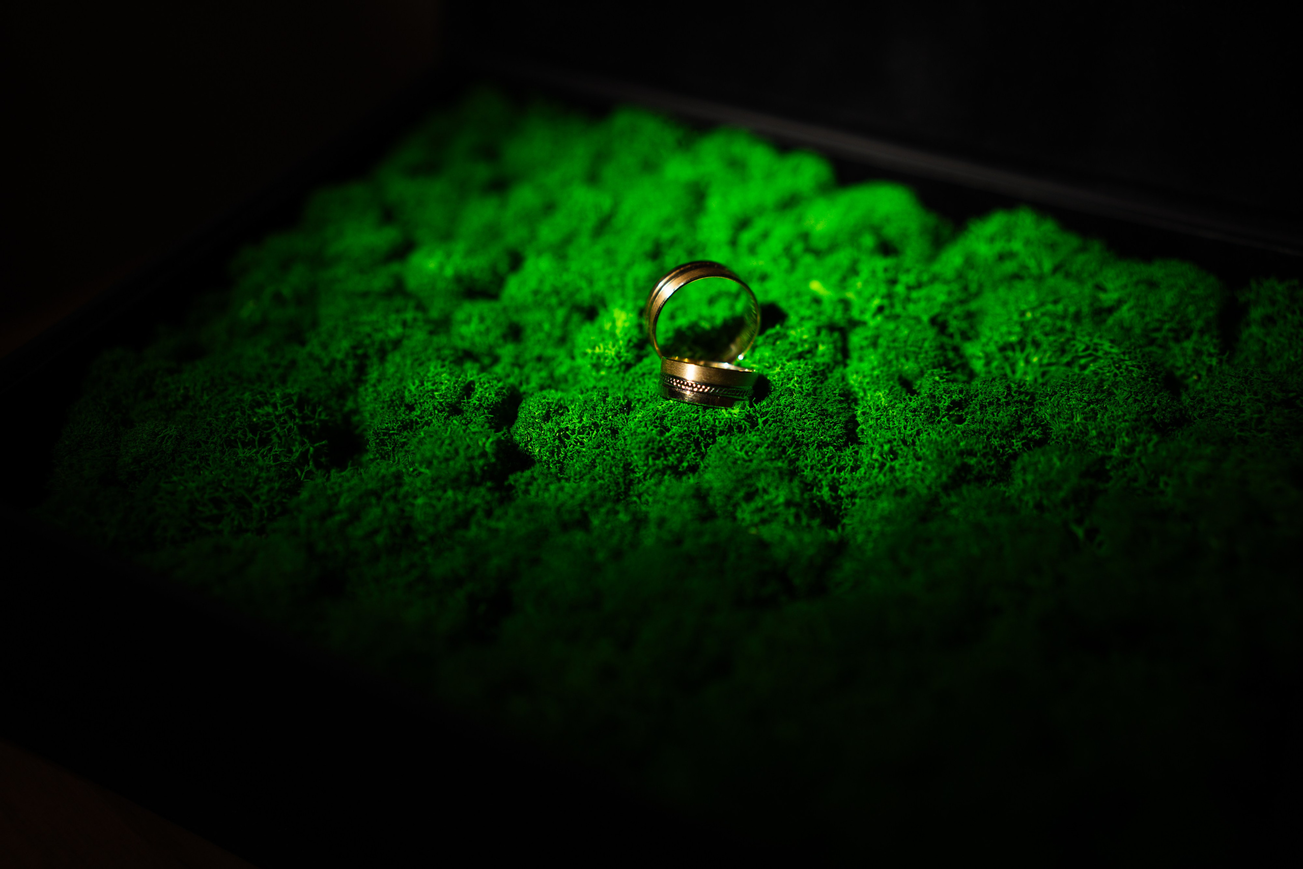 Bella & Adi. Foto Studio — Fotograf de evenimente, nunti, botezuri, portrete