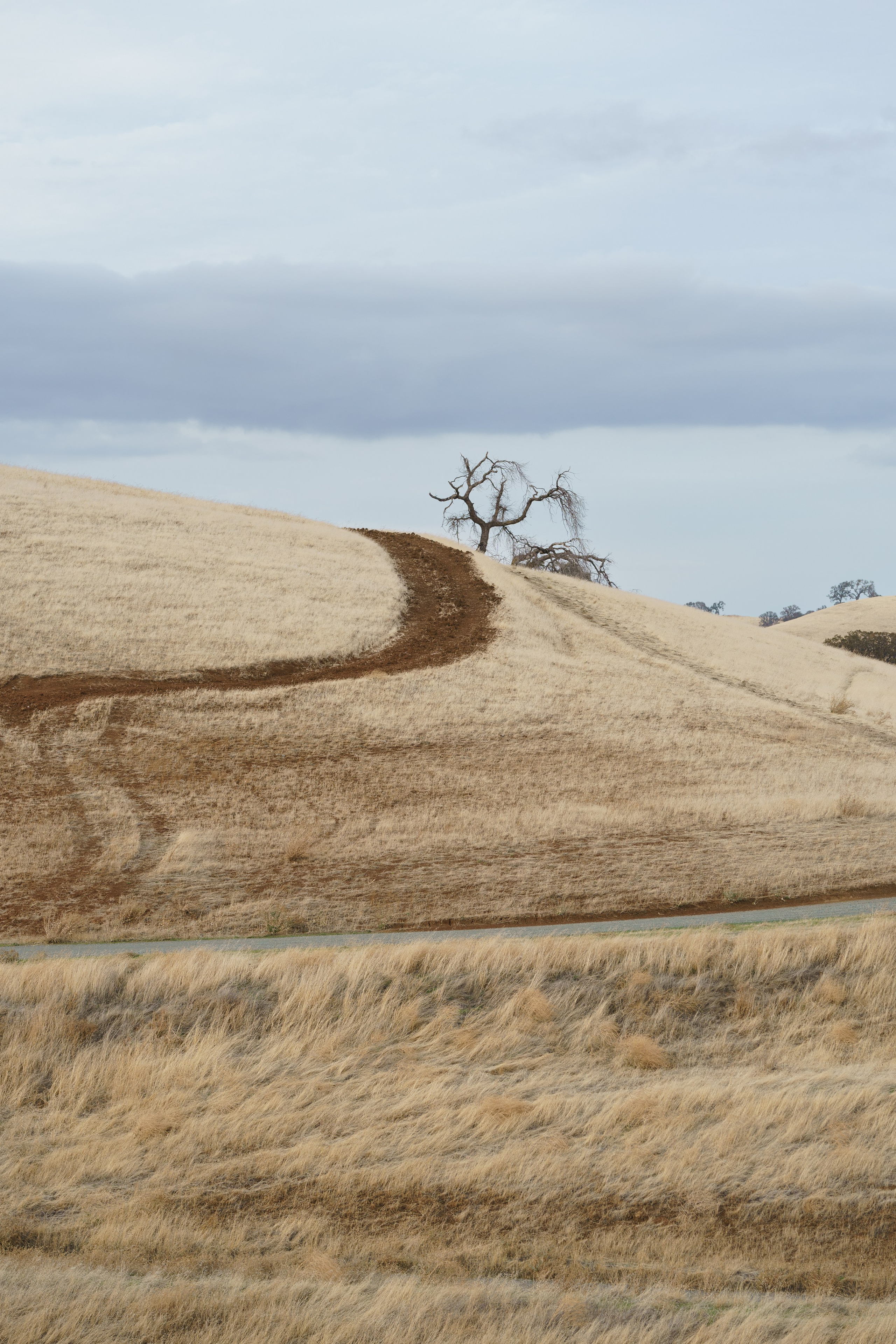 Los Vaqueros Reservoir. Tatiana Smirnova — Photographer