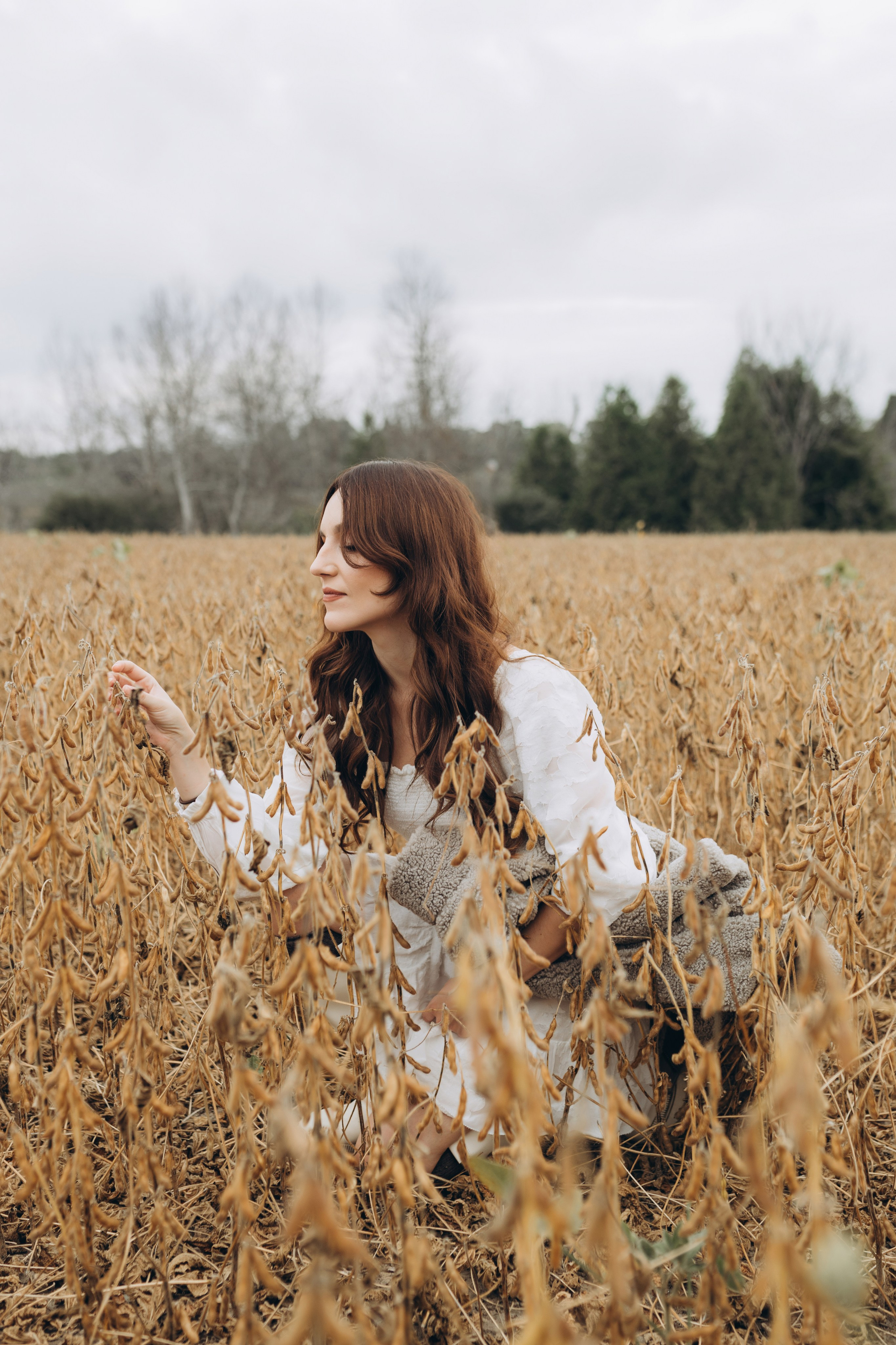 Alpacas Farm. Chernenko.photography