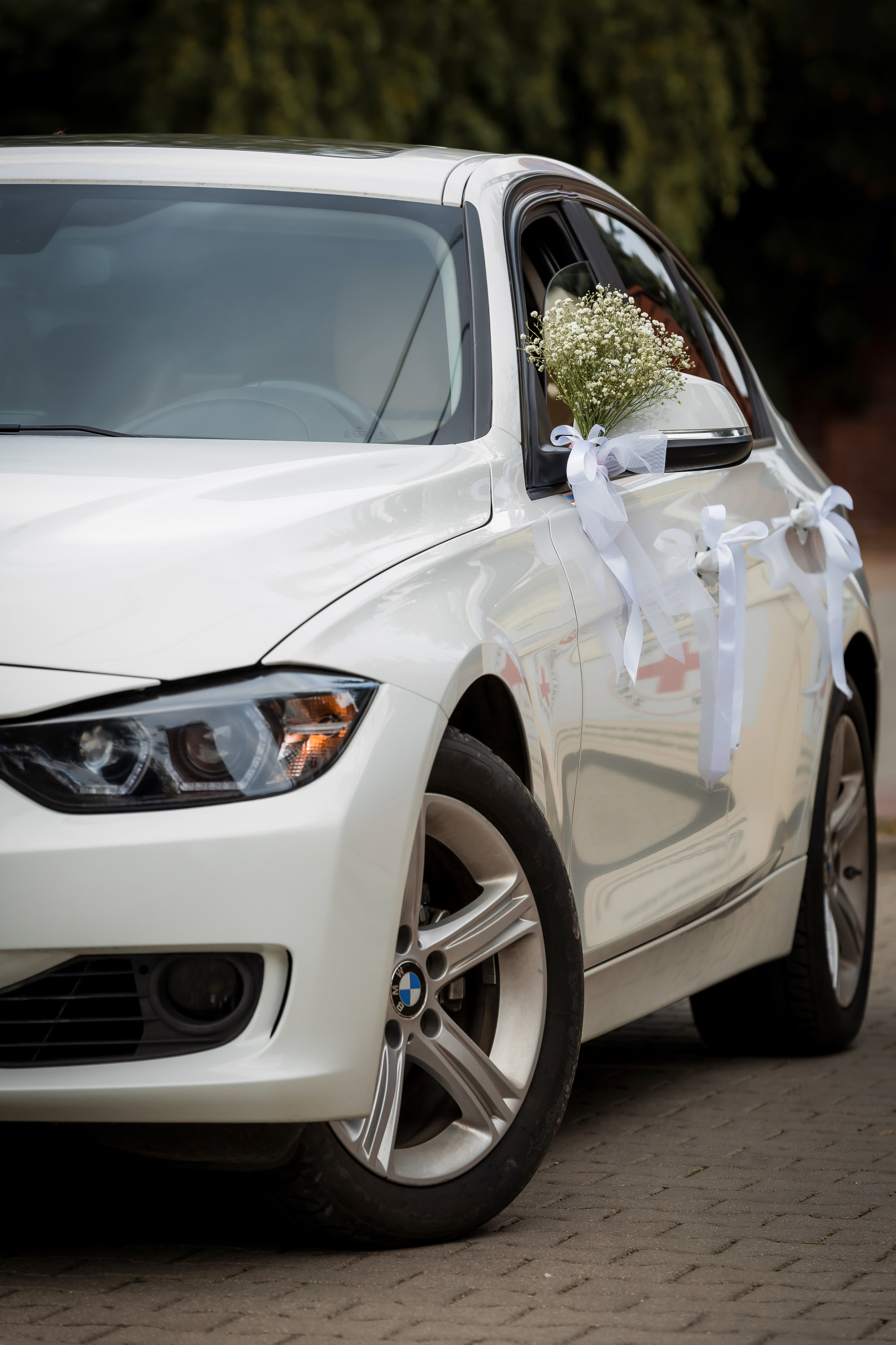 WESELA. Fotograf w Warszawie-Konstantin Golubev