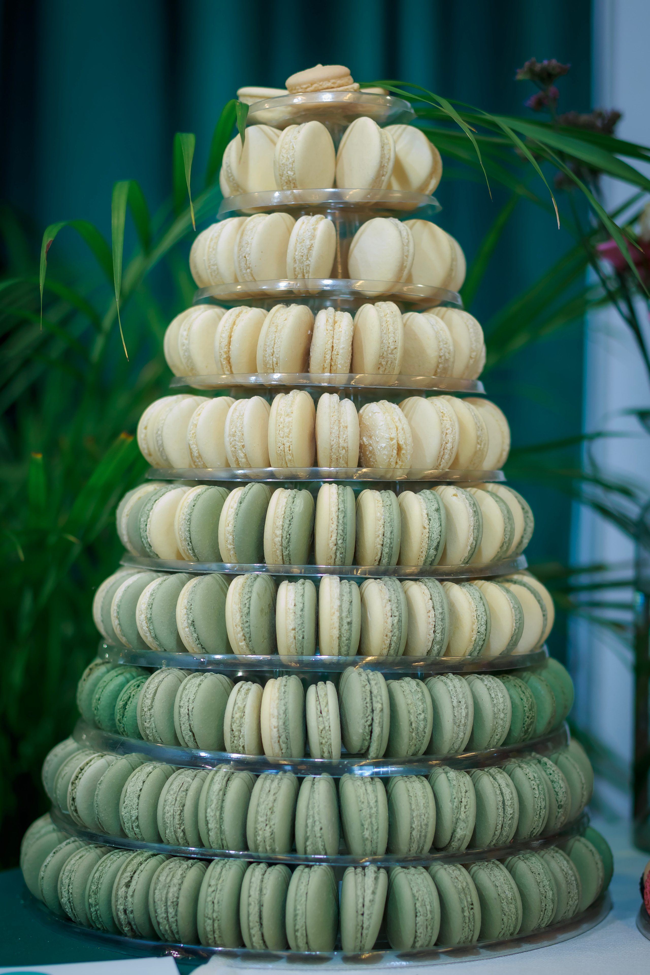 WESELA. Fotograf w Warszawie-Konstantin Golubev