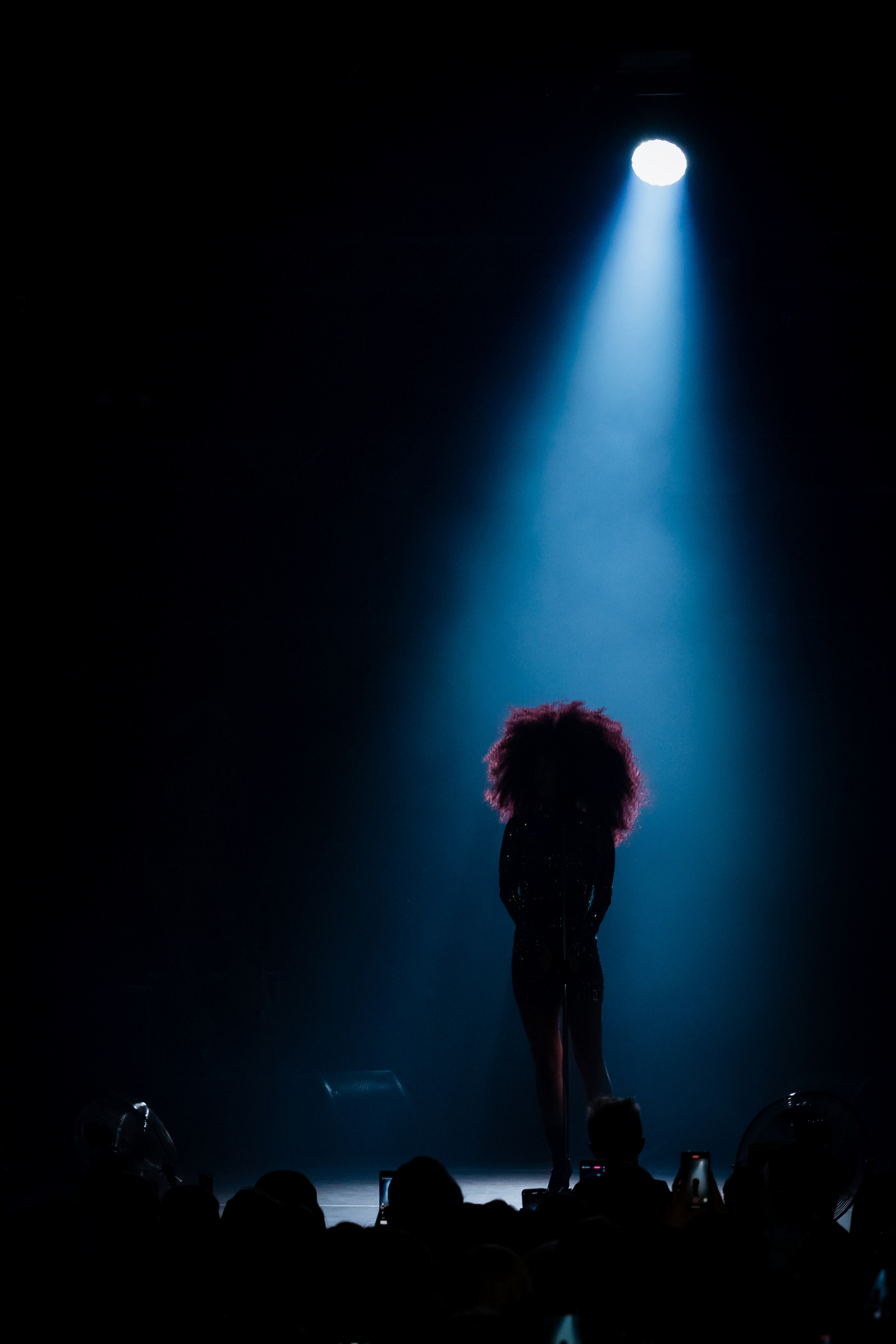 KONCERTY. Fotograf w Warszawie-Konstantin Golubev