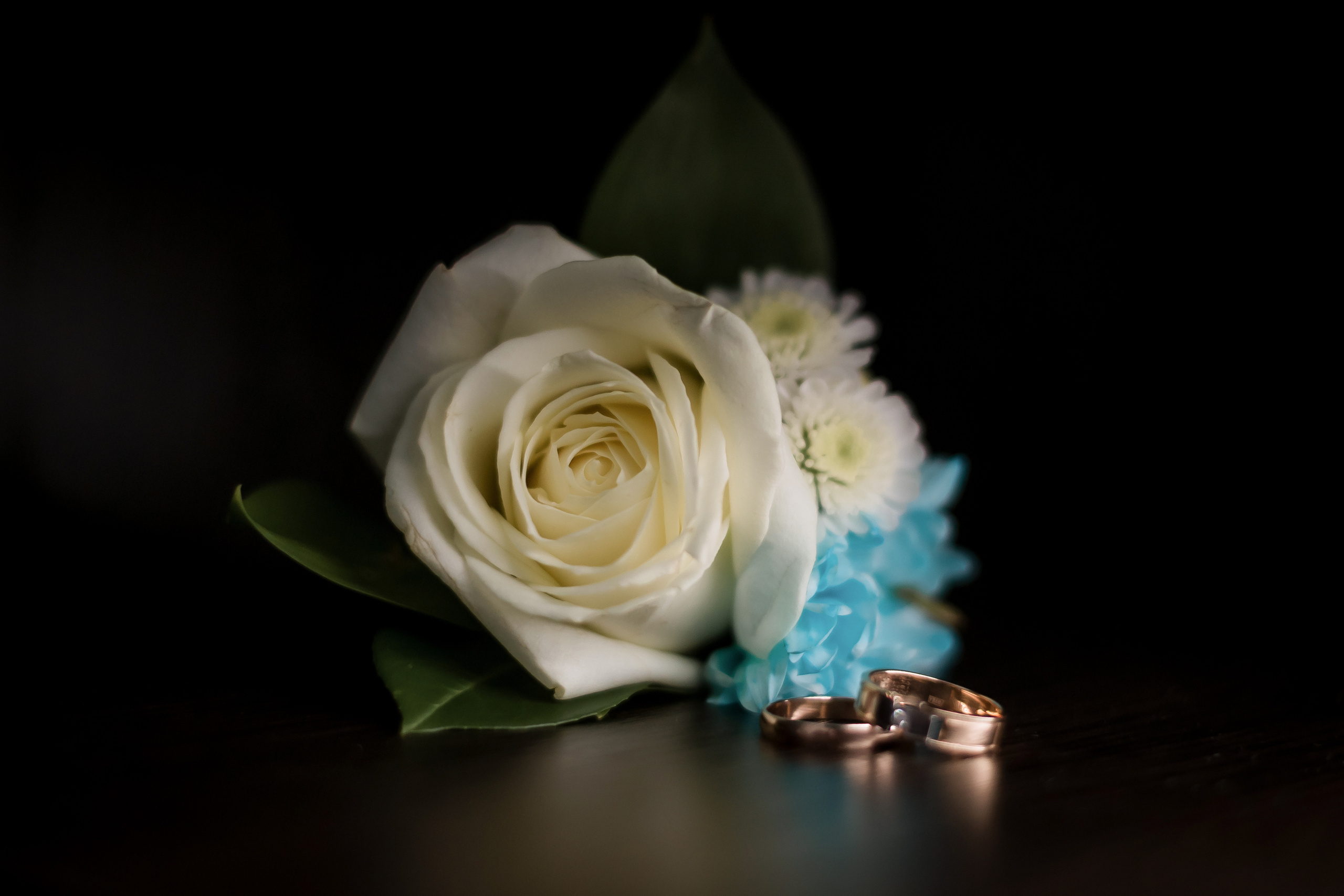 WESELA. Fotograf w Warszawie-Konstantin Golubev