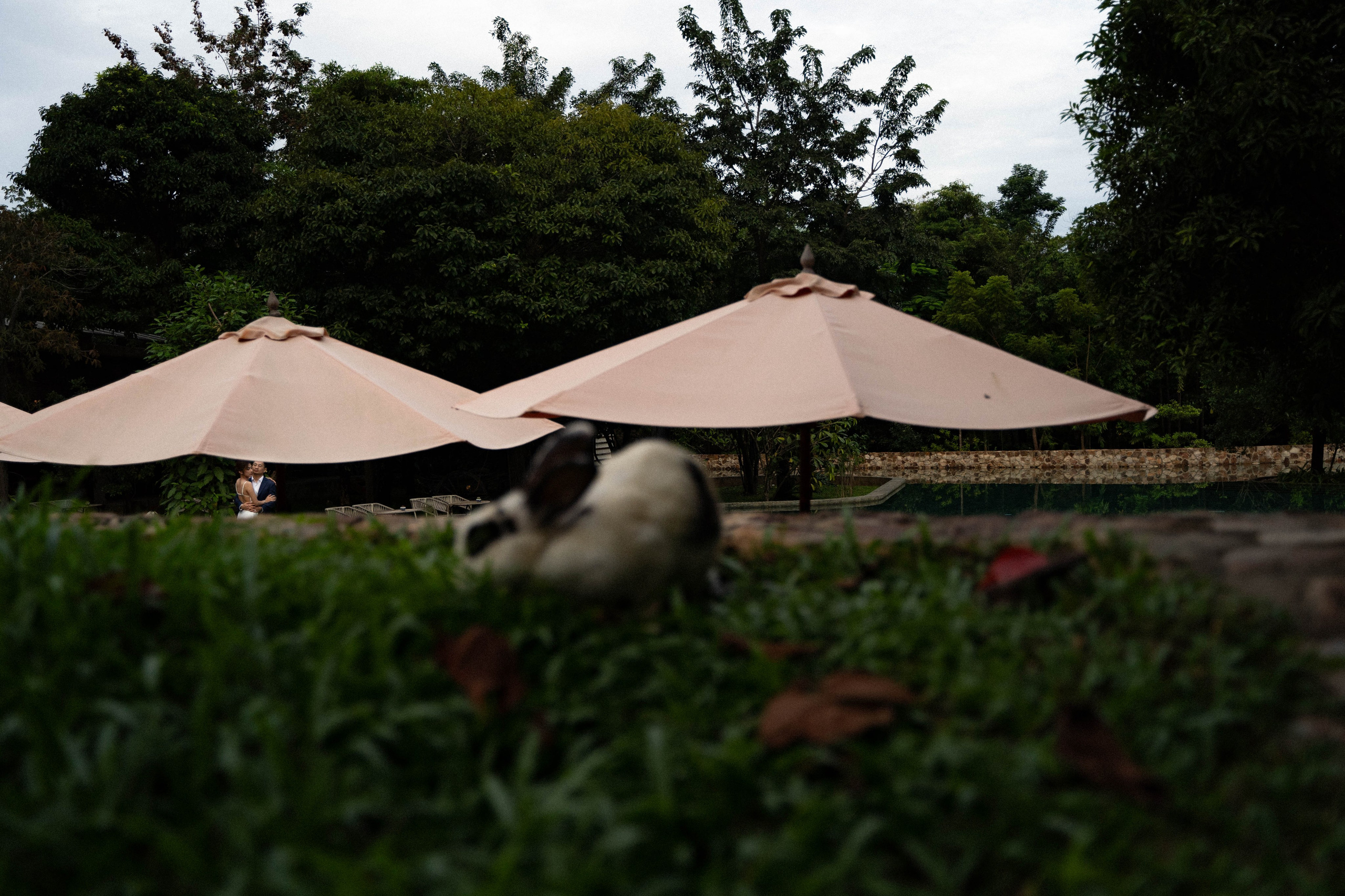 Pre Wedding LONG & YA (សៀមរាប). Welcome to Excellent Media