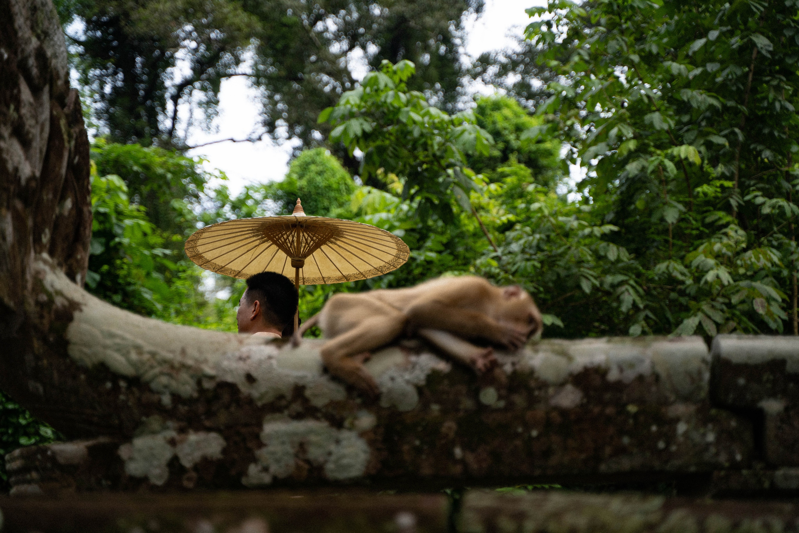 Pre Wedding LONG & YA (សៀមរាប). Welcome to Excellent Media