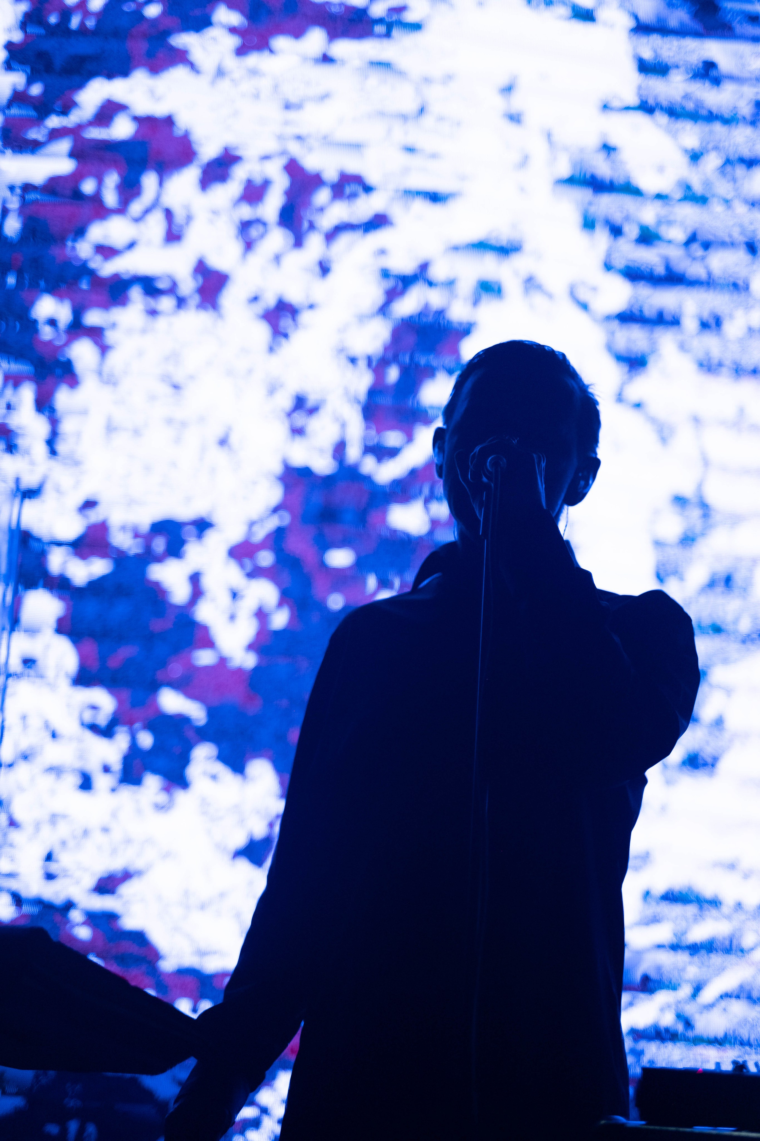 Dolphin @ 7 Fridays @ 06.05.25