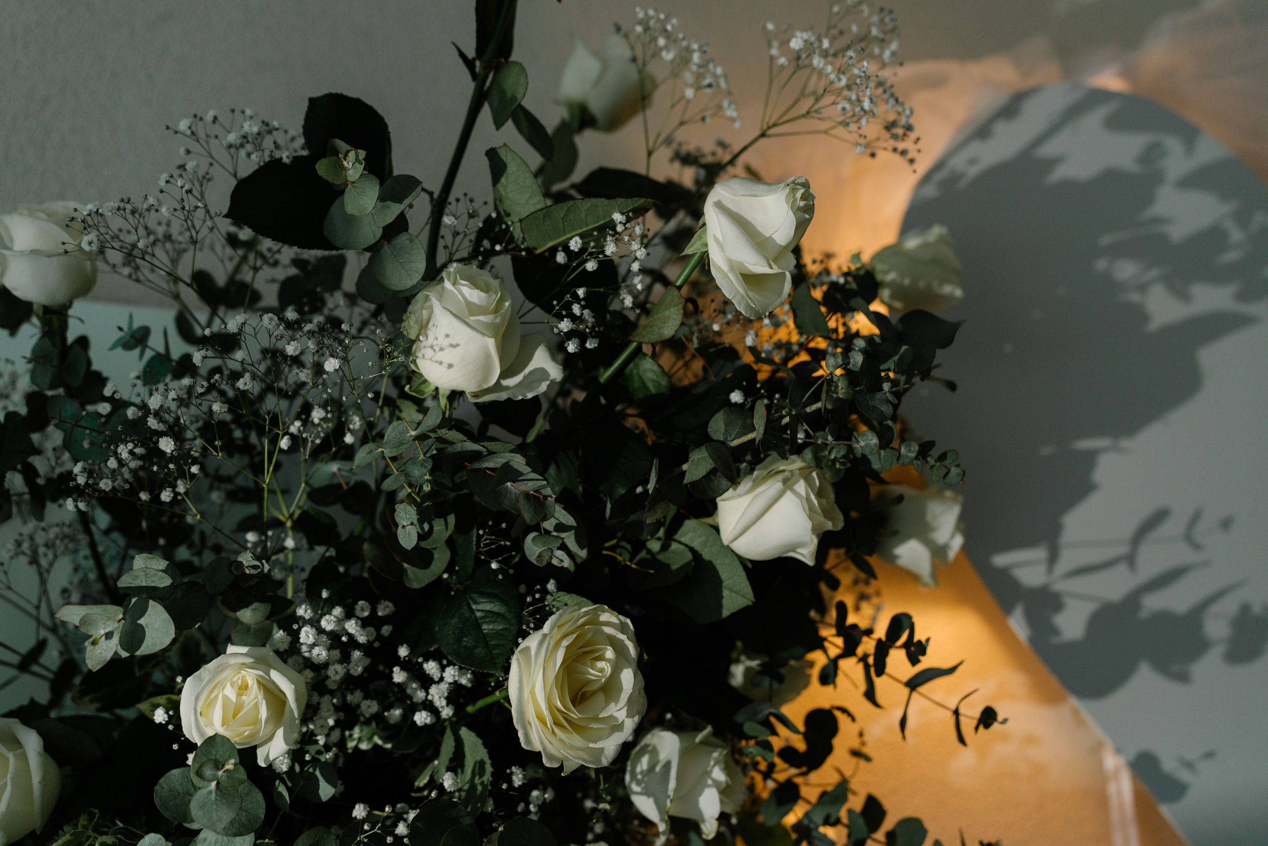 Y&C. Photographer Netherlands