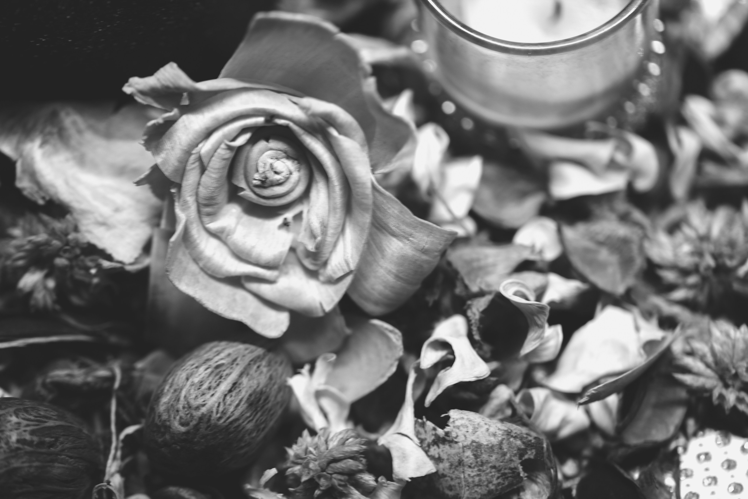 Pavel & Yveta. Svatební fotograf a kameraman v Česku a po celé Evropě — Teplice, Ústí nad Labem, Praha, Drážďany