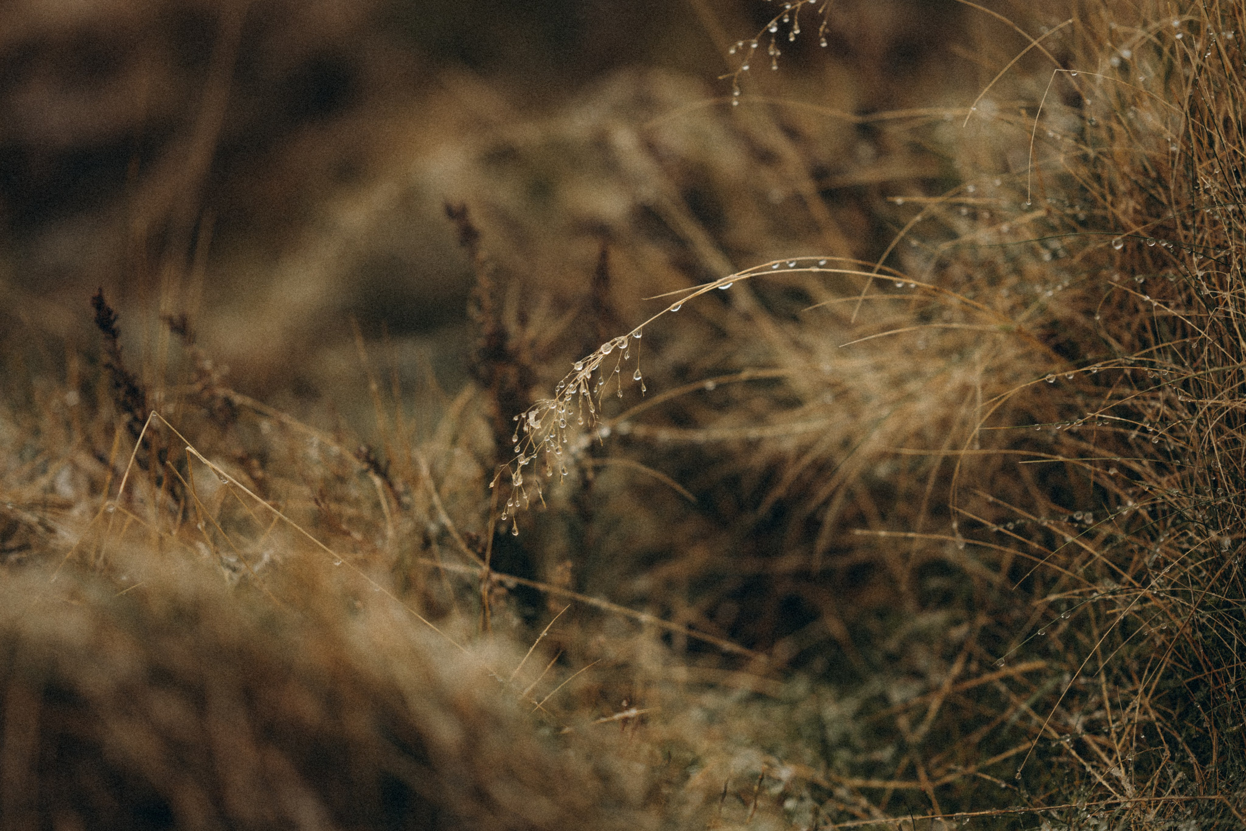 L & C in Peak District. Tania Gandrabur, photographer in West Midlands, England
