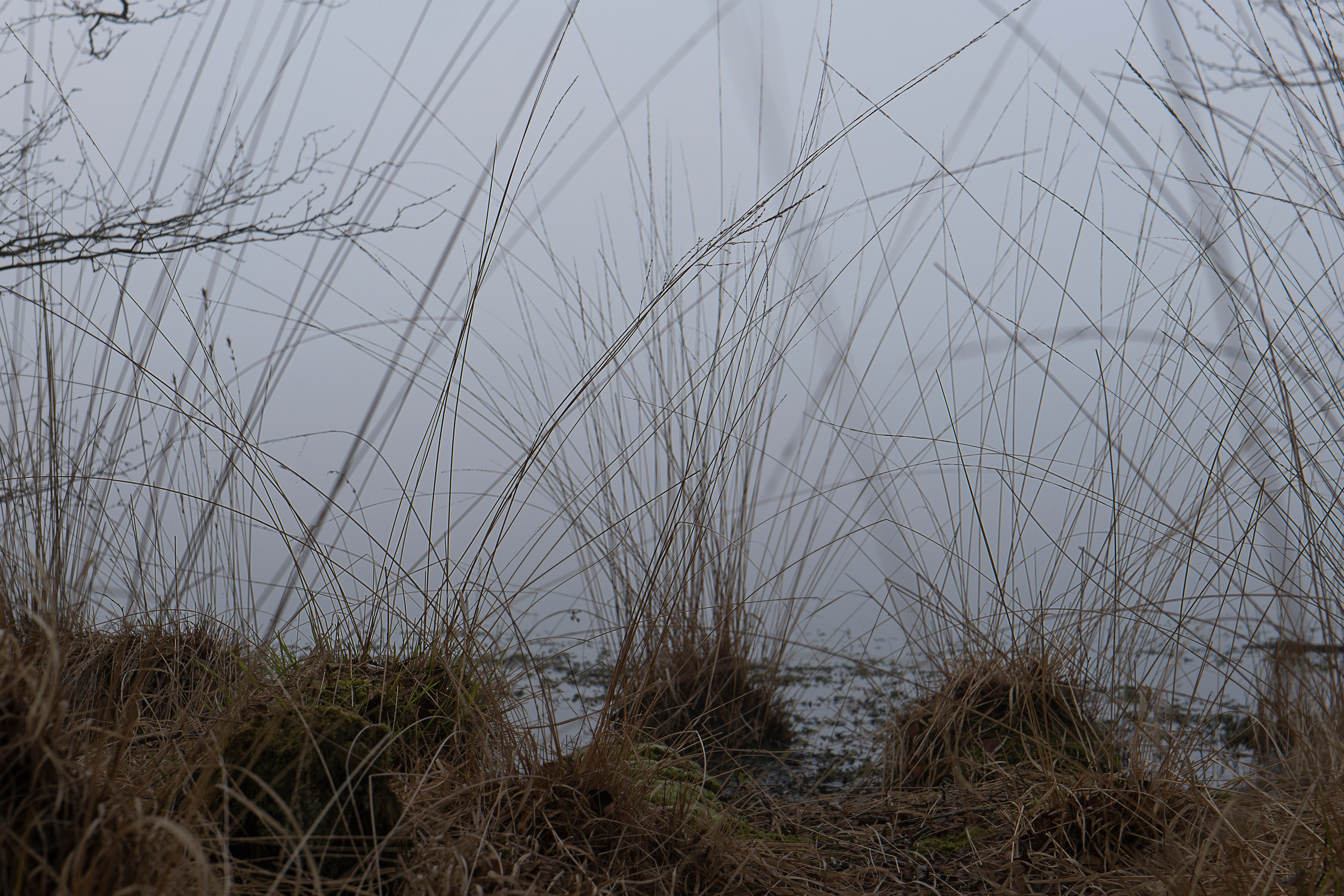 Paysages. Portrais créatifs de familles et individuels, Ile et Vilaine, France