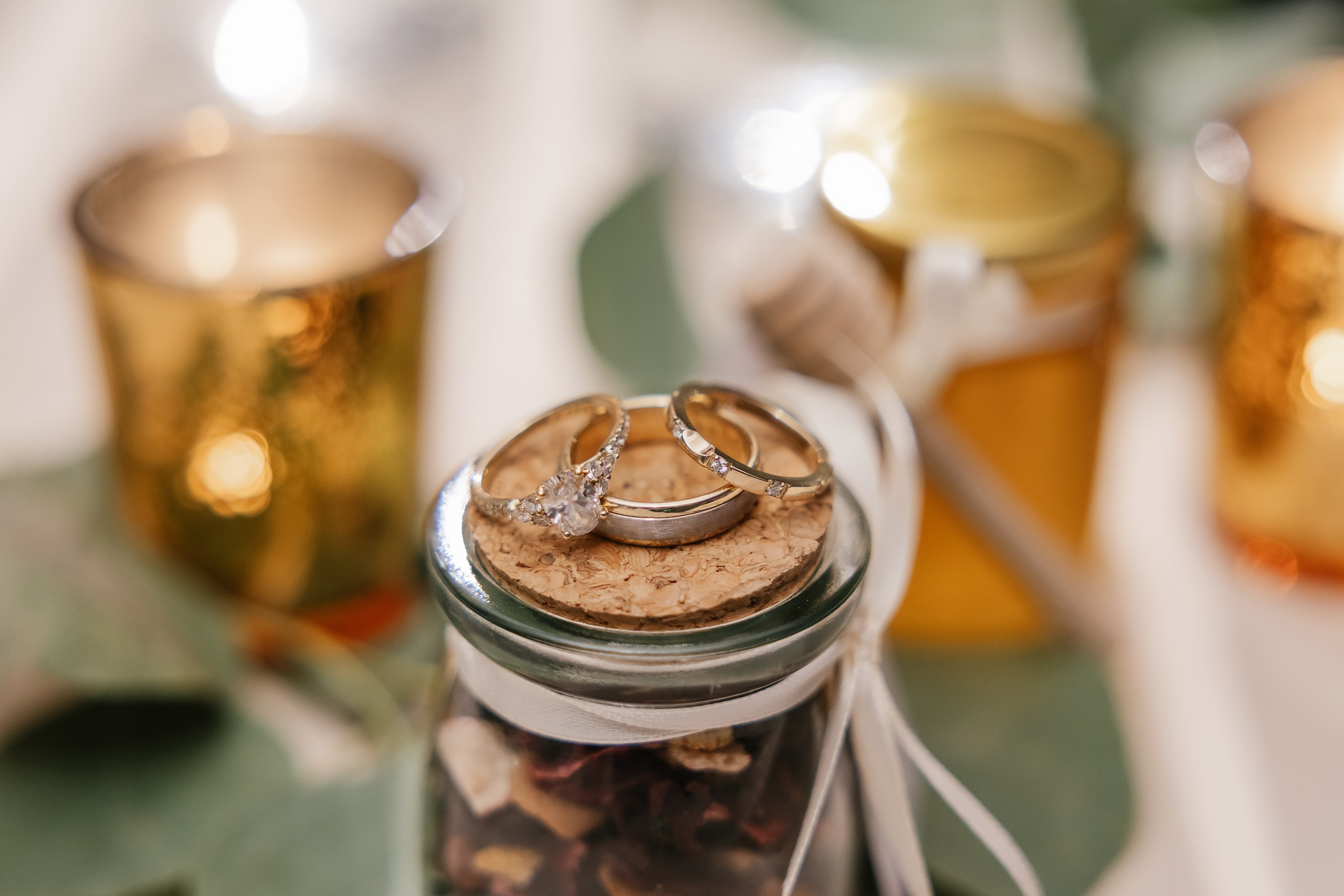 09.06.2025 Wedding. Wedding family event photographer in Chicago Nick Yushevich