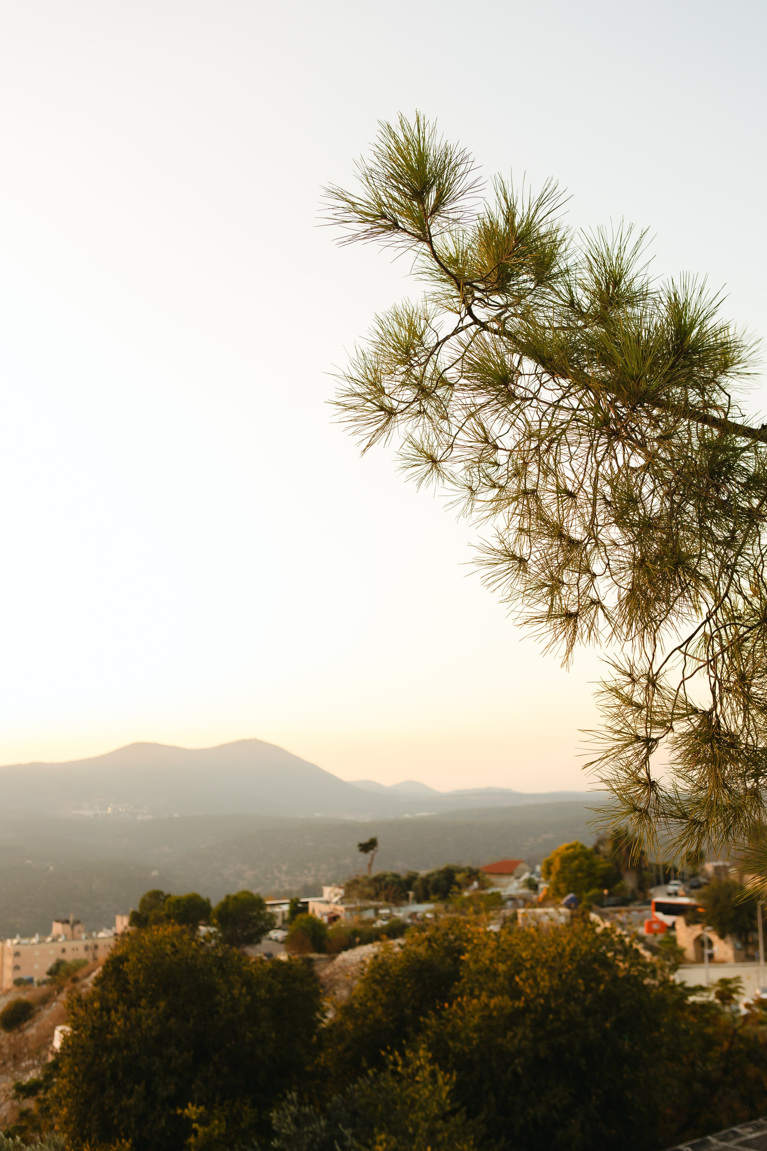 Dreams Came True. Https://shi-photo.com/