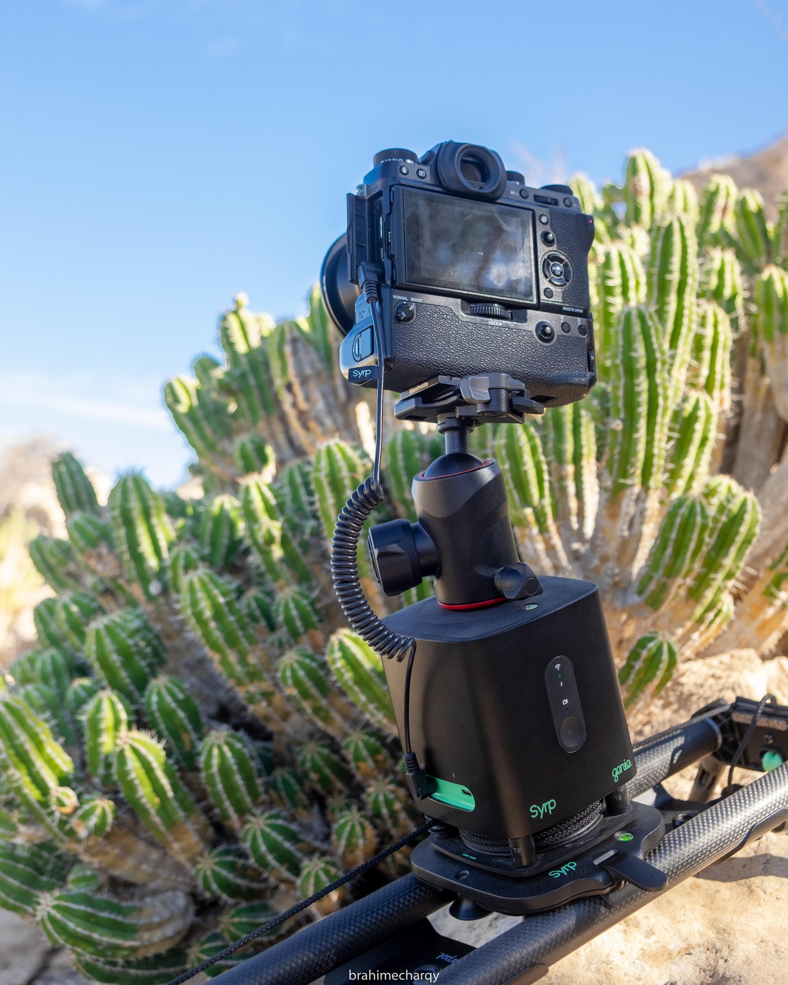 Предложения. Брахим — фотограф