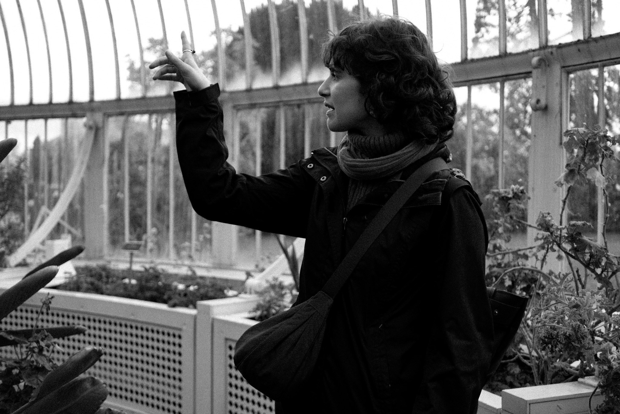 Botanical garden, Dublin 2023