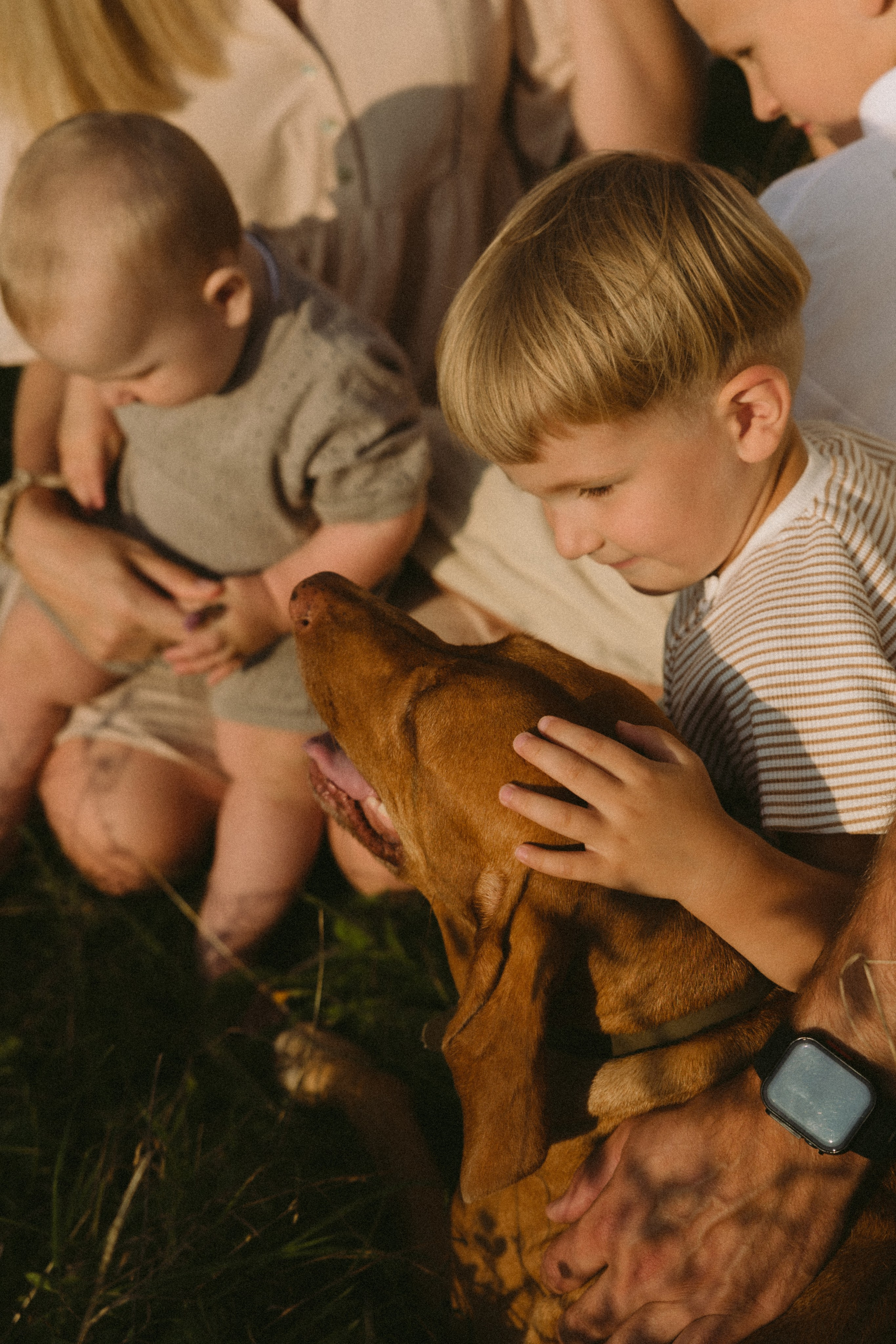 Simonos ir Mariaus šeima | PIEVA. Vestuvių ir šeimų fotografė Lena Bondarenko / belove photo