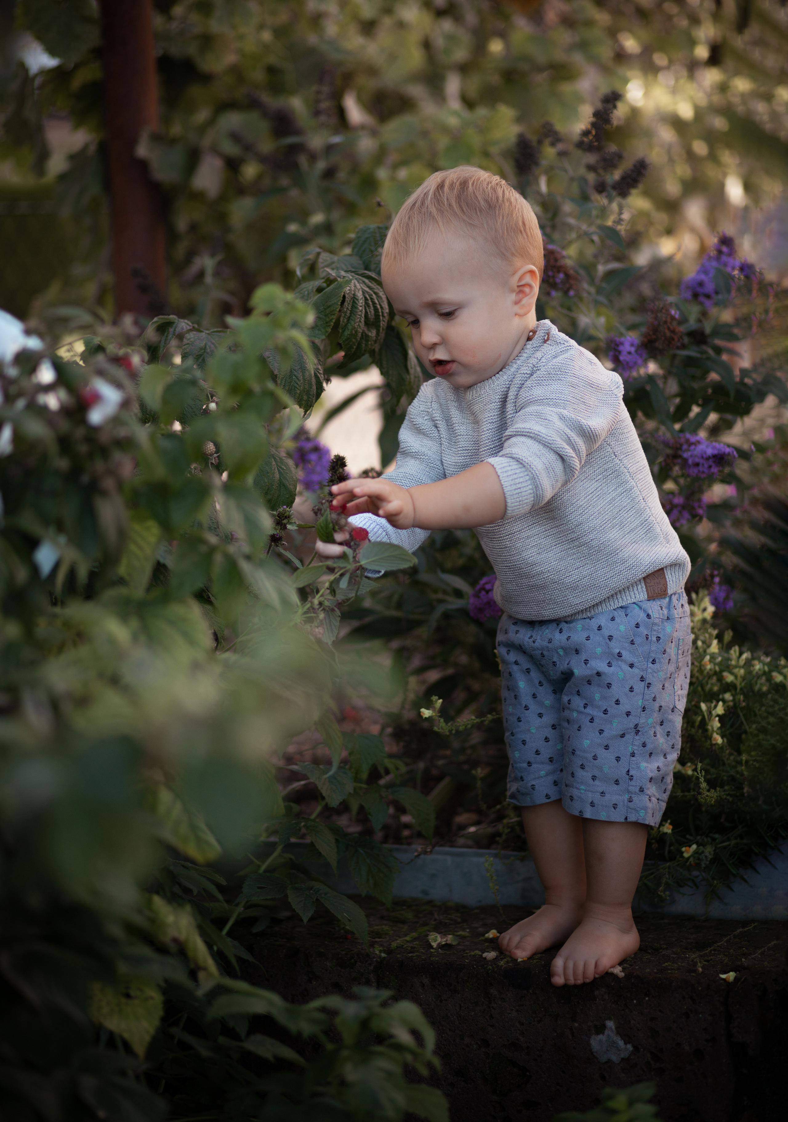 Kinder. Familien, Schwangerschaft, Kinder Fotograf Bodenseekreis