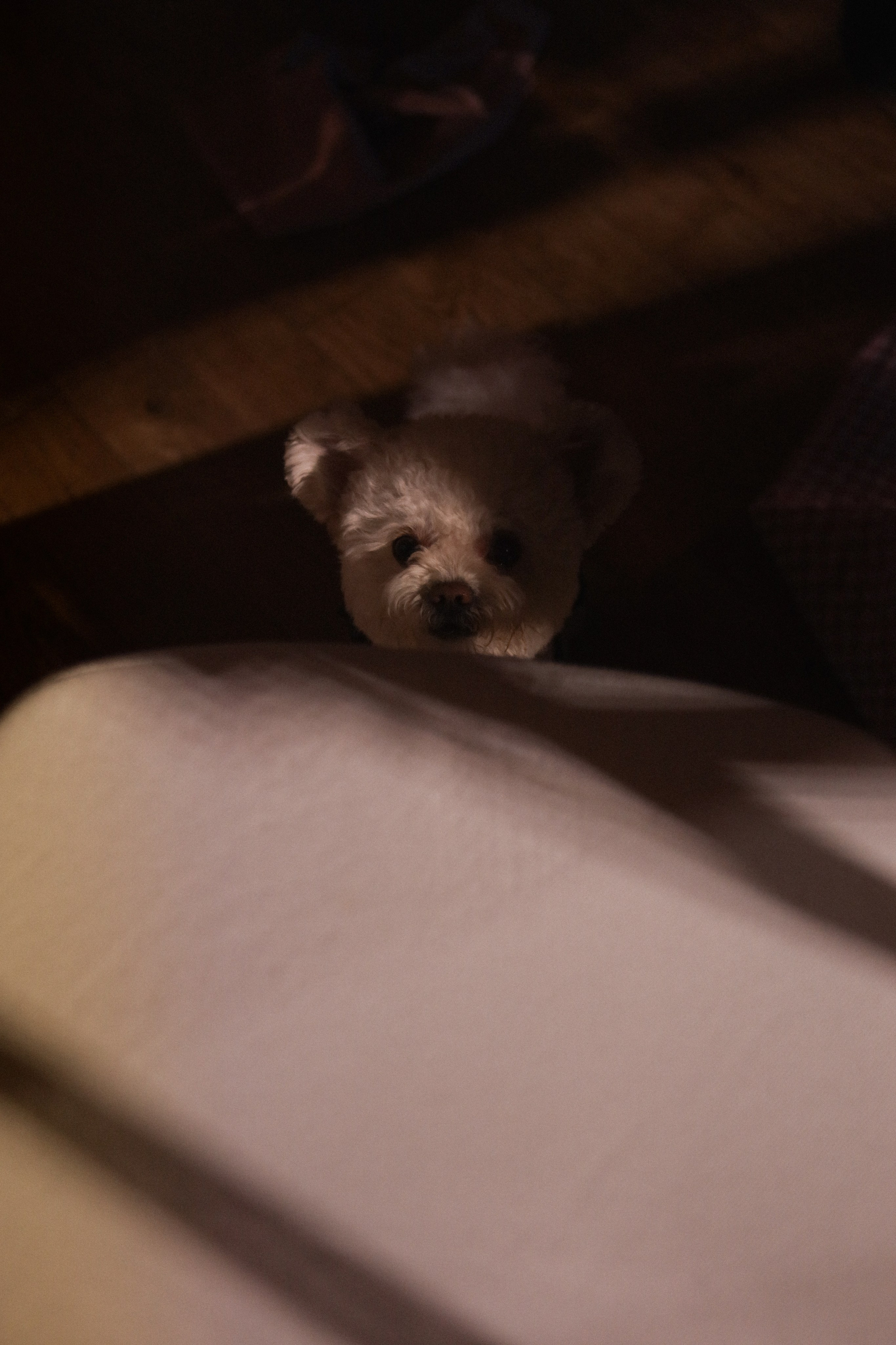 “LOVE IN THE MOUNTAINS” full wedding day. Свадебный и семейный фотограф в Дубае Эльмаз Черникова