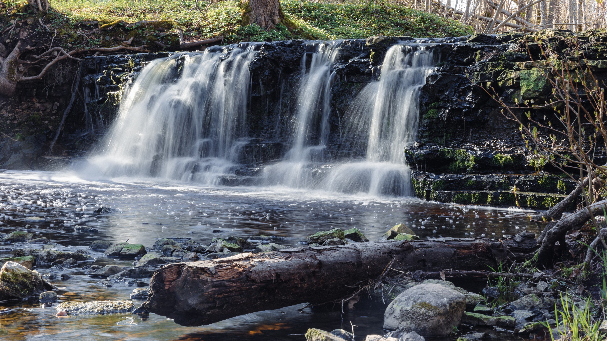 Dažādas fotogrāfijas. Sajūtu un mirkļu fotogrāfs no Rīgas, Mārtiņš Babris