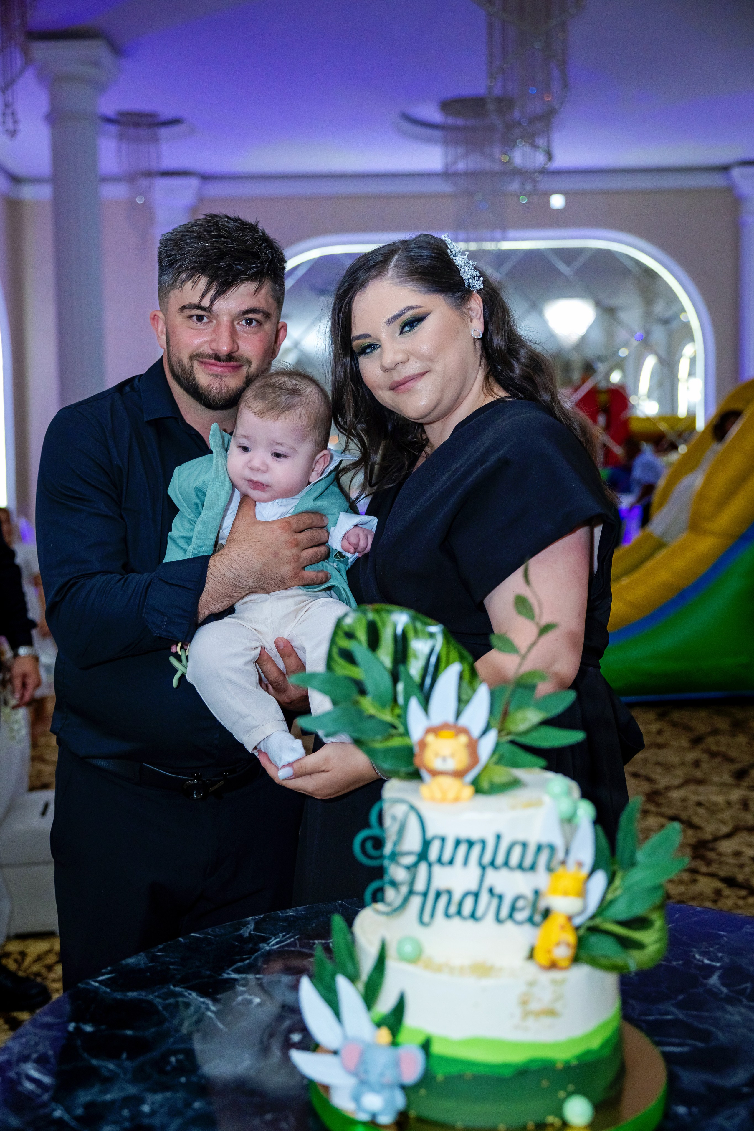 Andrei Damian. Moments By Gub