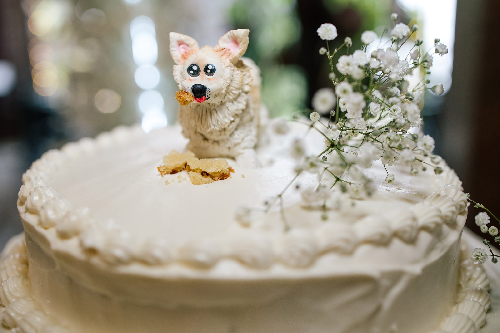 Fiesta/ Coctel. Principal