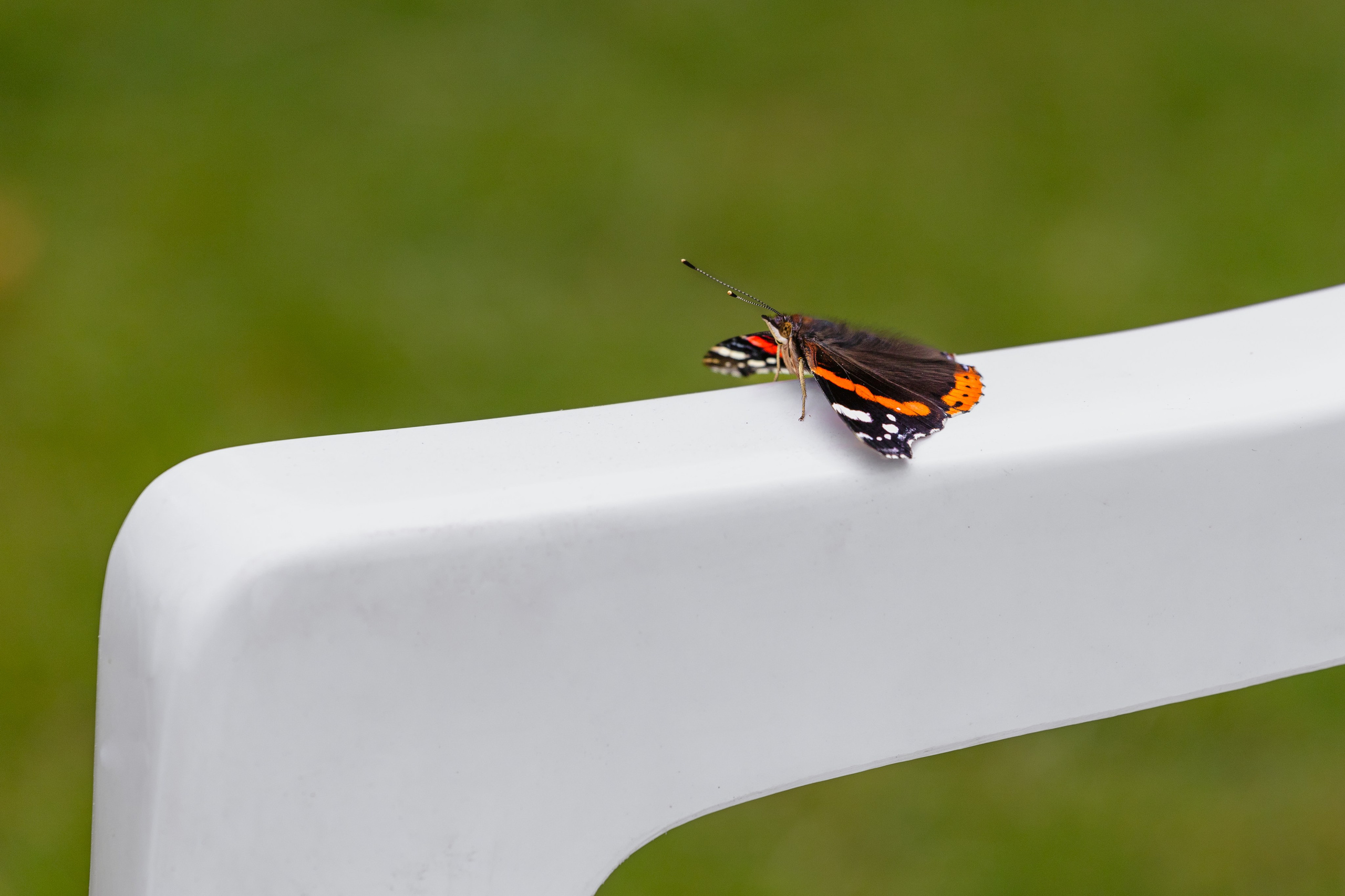 40th Birthday — Royal Windsor Racecourse. June, 2023. Timeless Wedding & Event Photography from London to the world