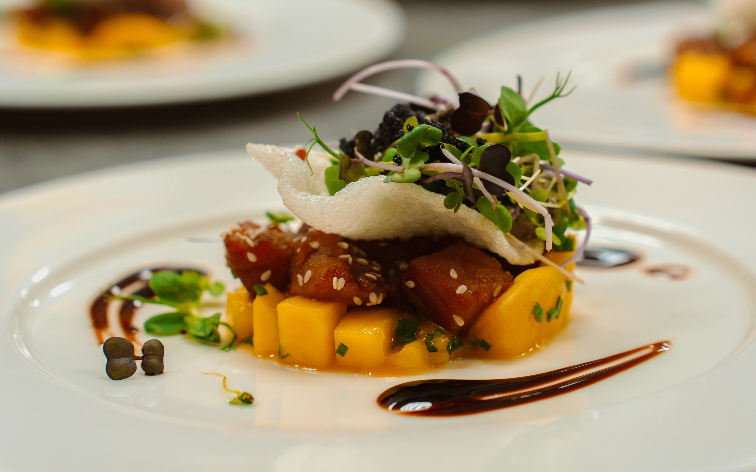 RESTAURANT. Montenegro photographer and videographer