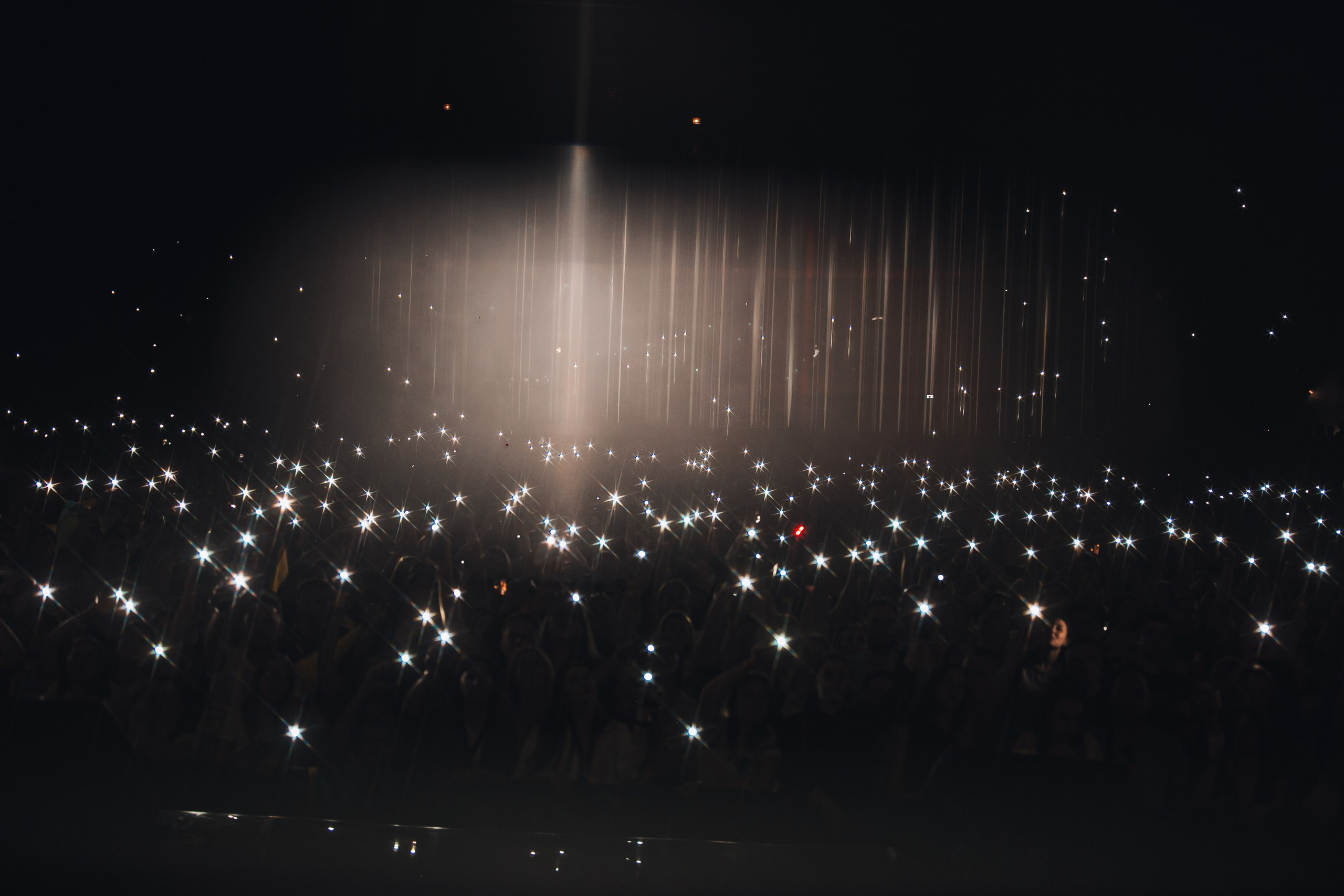 Скай. Репортажний фотограф/анімаліст КИЇВ