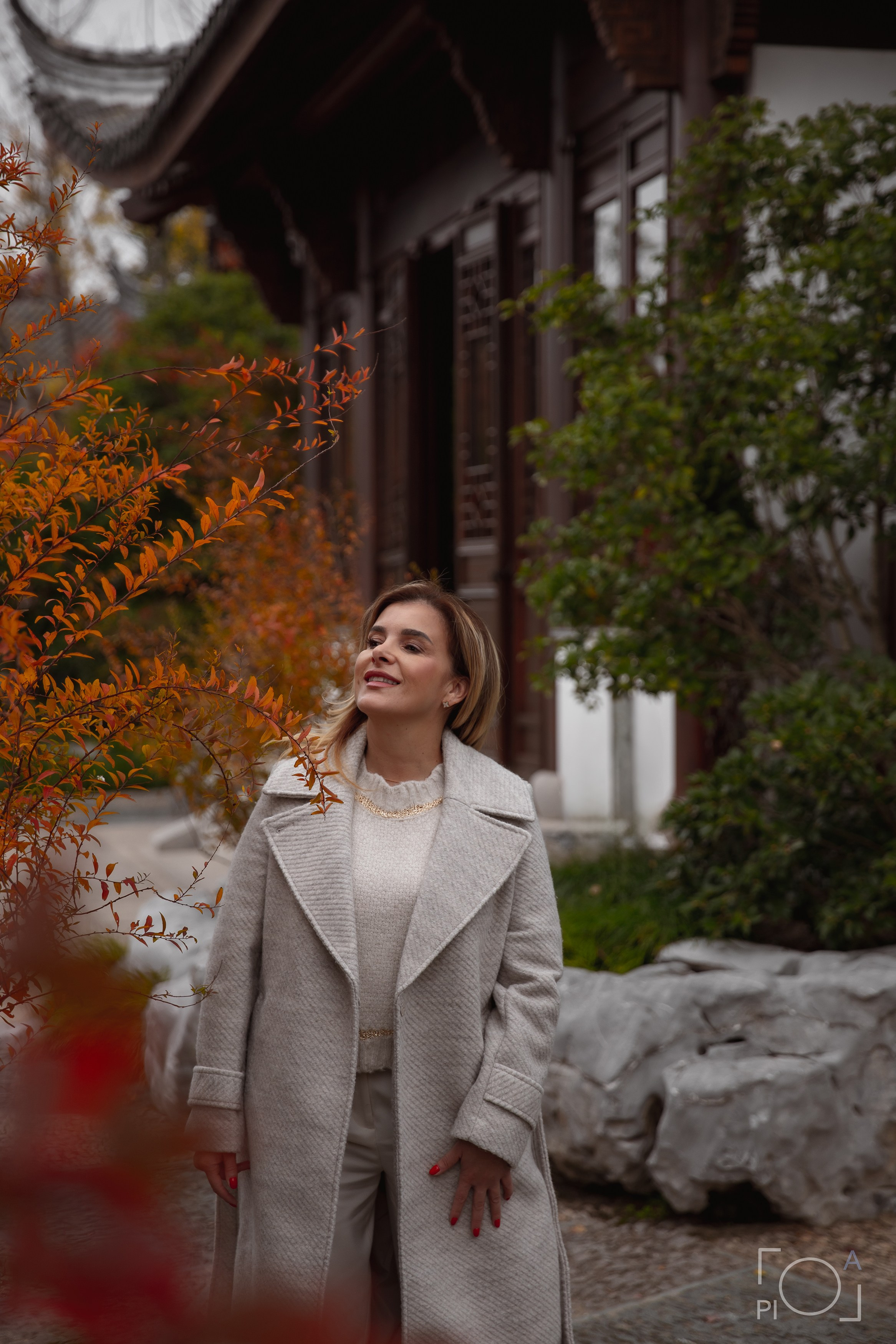 оранжевые деревья осенью в Шанхае