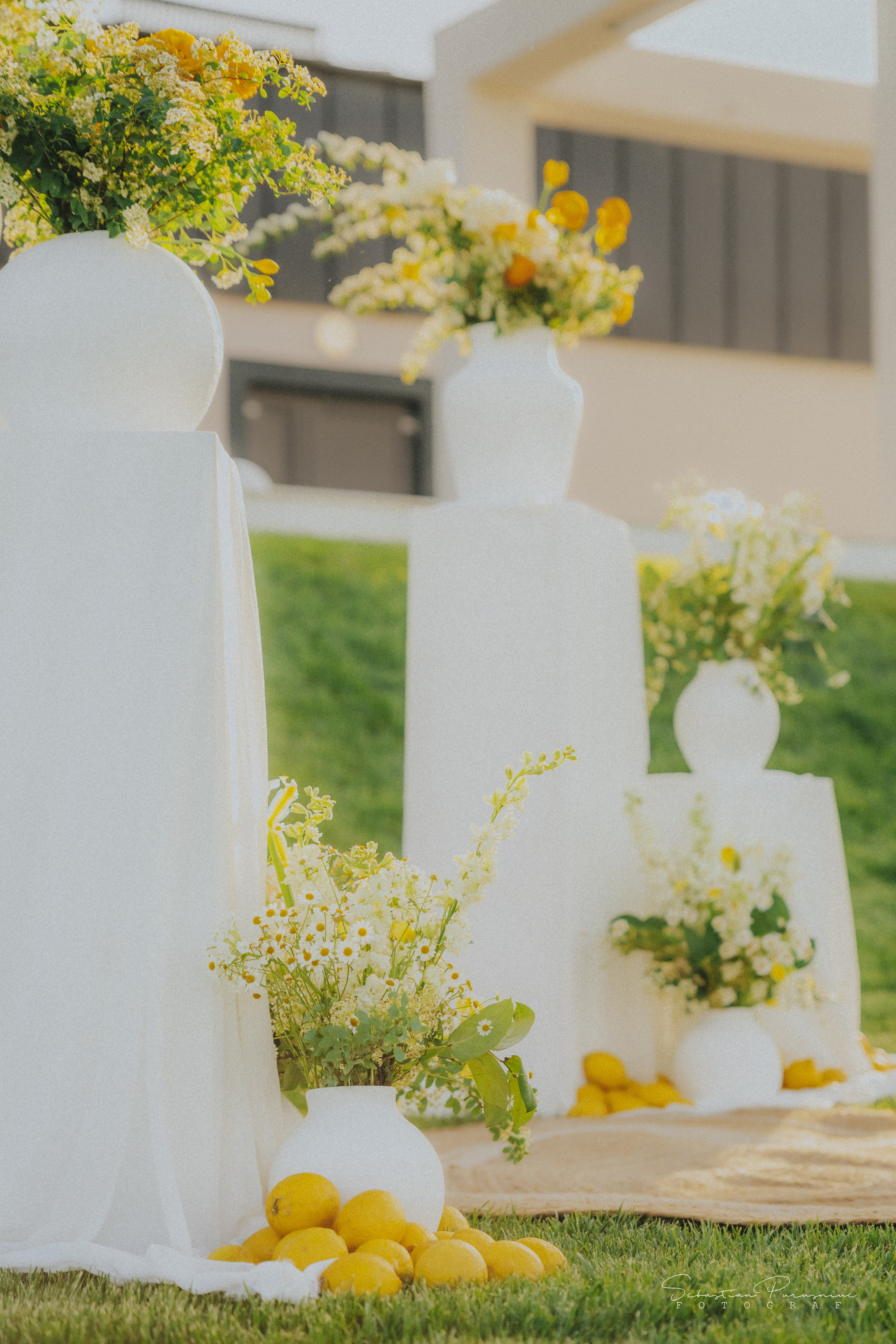 Love & Lemons. Sebastian Purusniuc Fotograf - Iasi