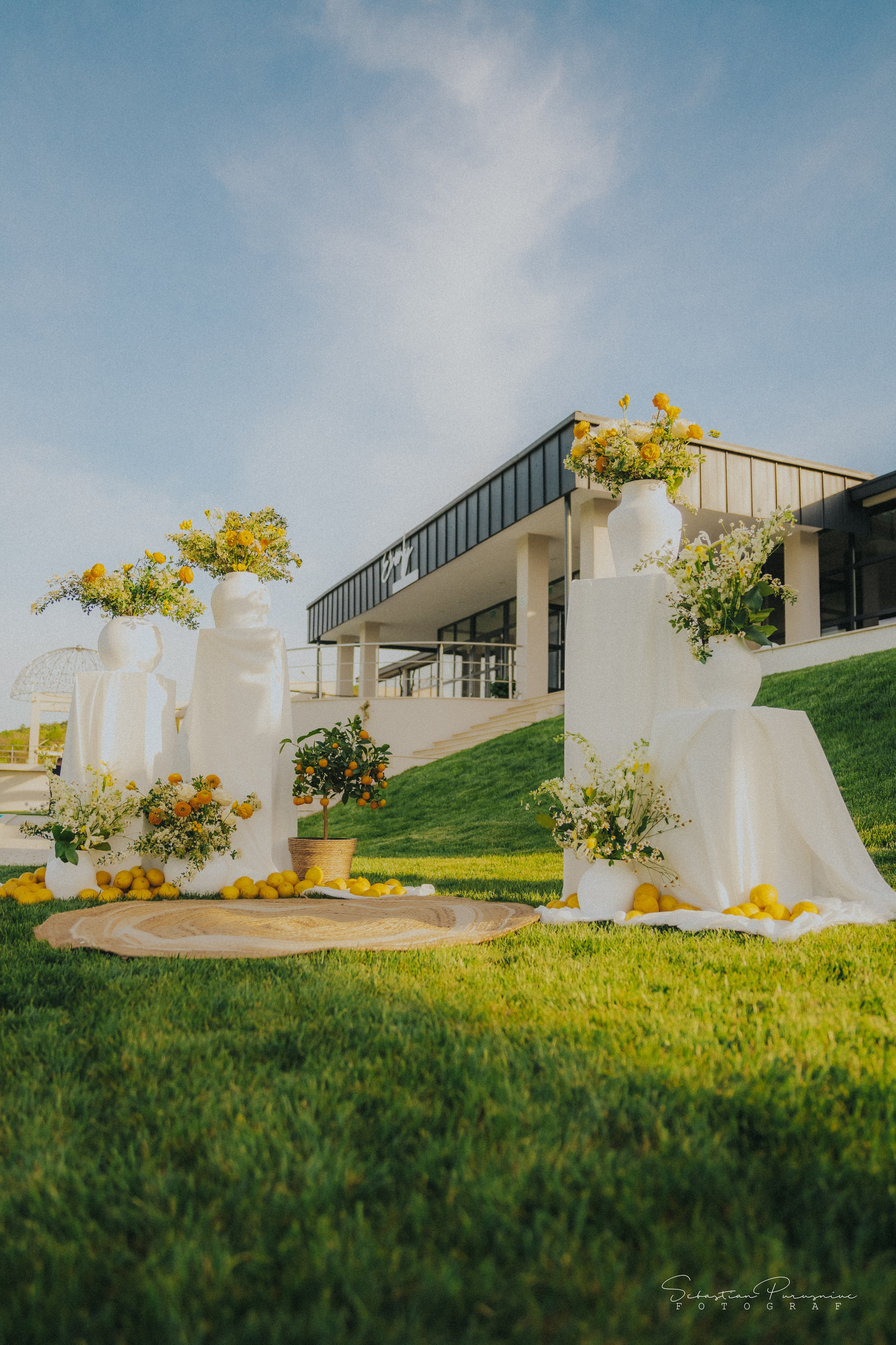 Love & Lemons. Sebastian Purusniuc Fotograf - Iasi